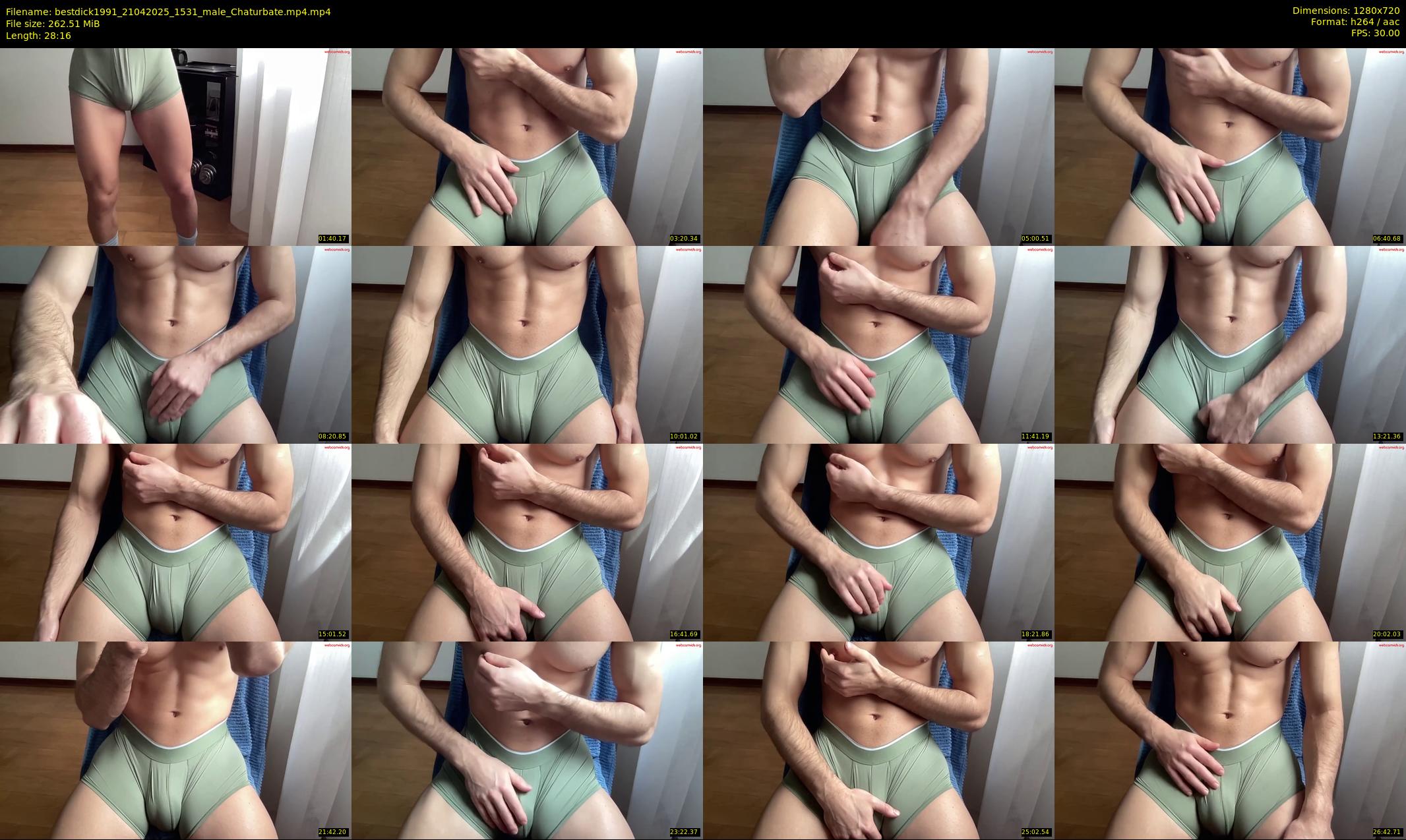 bestdick1991 — 29 minute Chaturbate male cam show recording, 720p, Apr 21, 2025