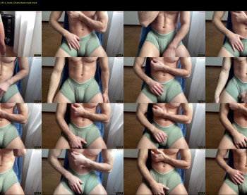 bestdick1991 — 29 minute Chaturbate male cam show recording, 720p, Apr 21, 2025