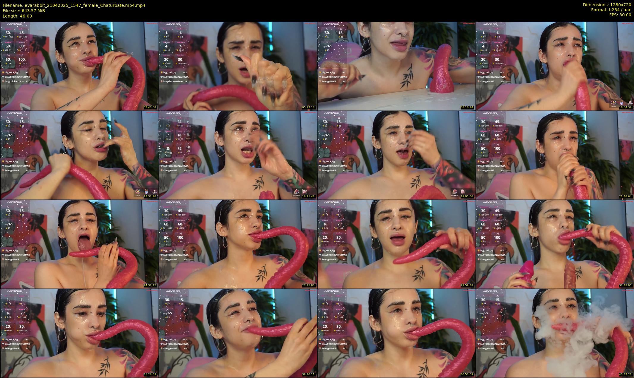 evarabbit — 47 minute Chaturbate female cam show recording, 720p, Apr 21, 2025