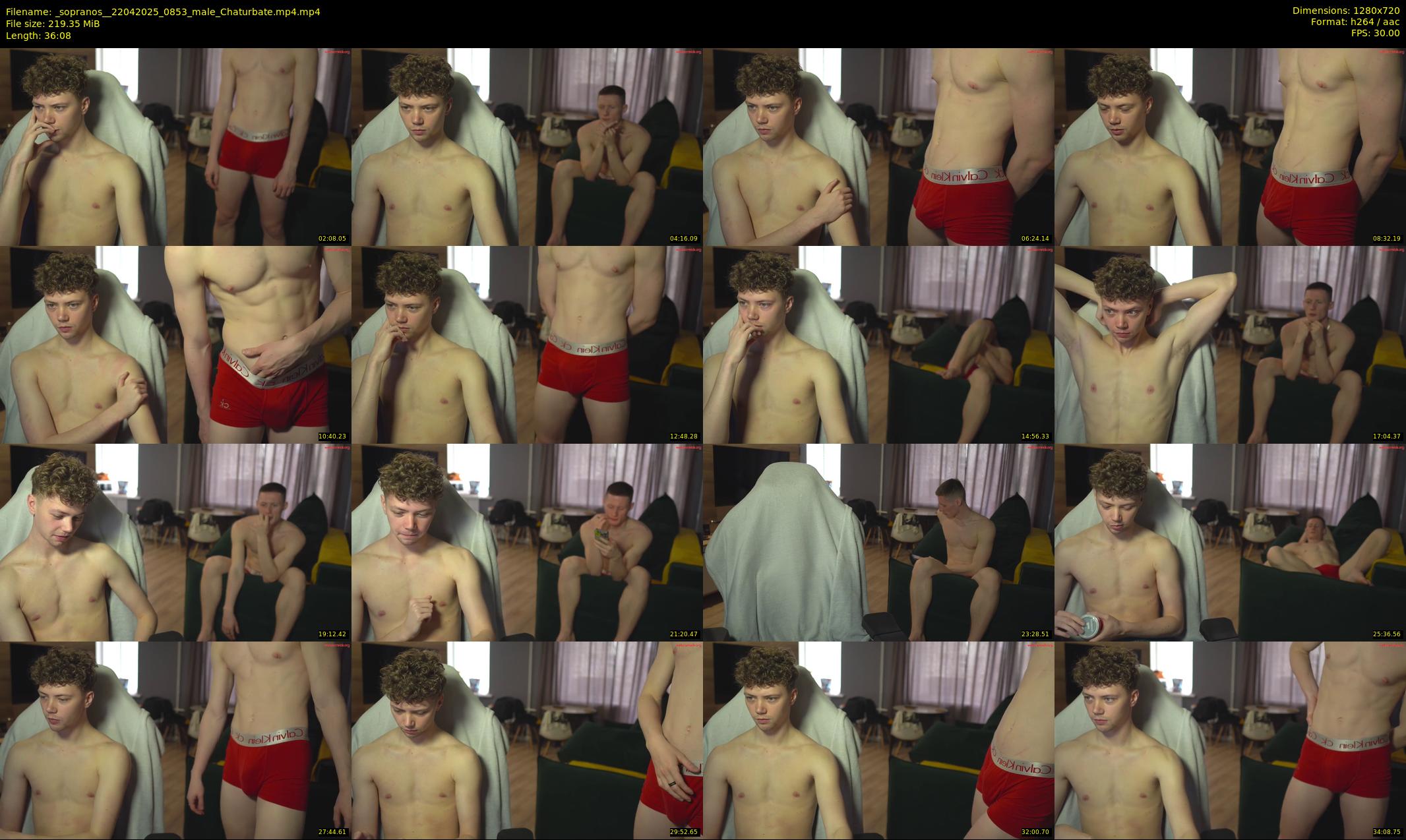 _sopranos_ — 37 minute Chaturbate male cam show recording, 720p, Apr 22, 2025