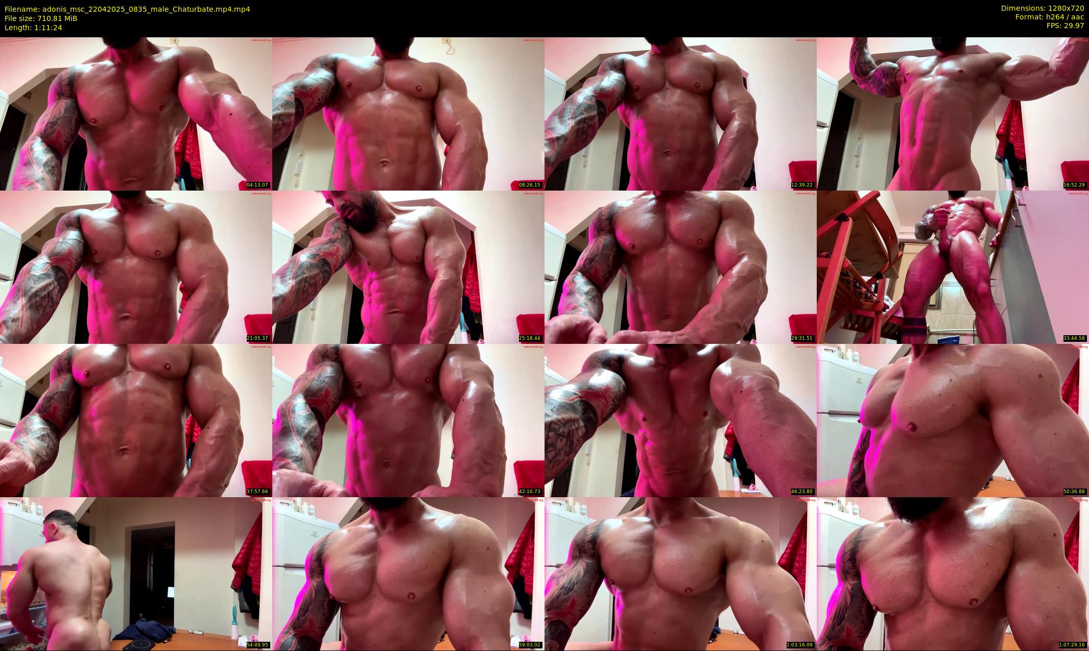 adonis_msc — 72 minute Chaturbate male cam show recording, 720p, Apr 22, 2025