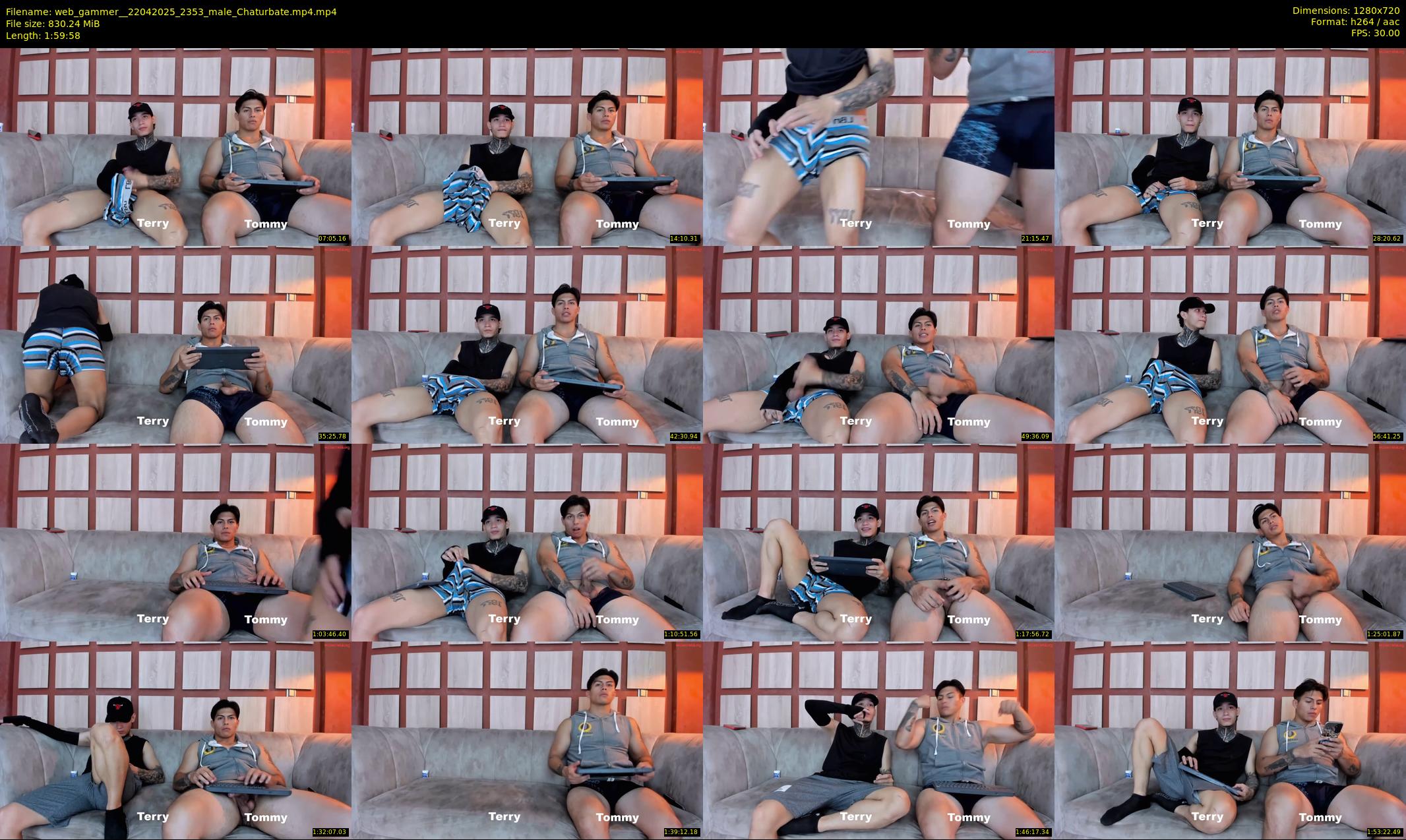 web_gammer_ — 120 minute Chaturbate male cam show recording, 720p, Apr 22, 2025