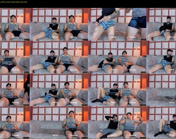 web_gammer_ — 120 minute Chaturbate male cam show recording, 720p, Apr 22, 2025
