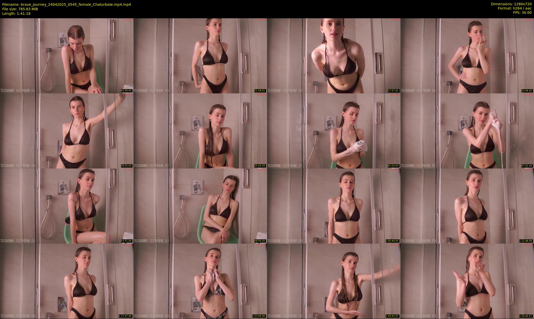 brave_journey — 102 minute Chaturbate female cam show recording, 720p, Apr 24, 2025