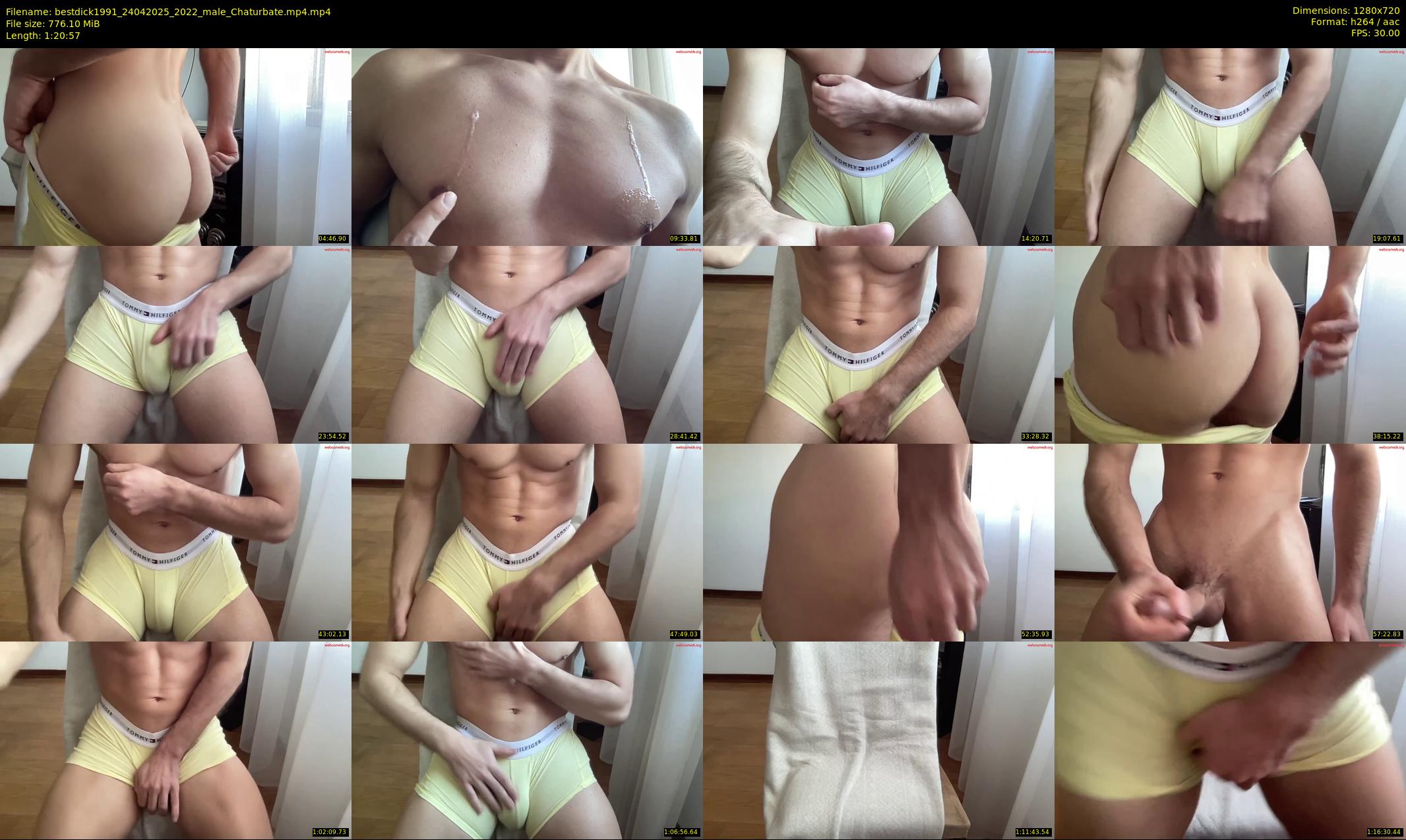 bestdick1991 — 81 minute Chaturbate male cam show recording, 720p, Apr 24, 2025