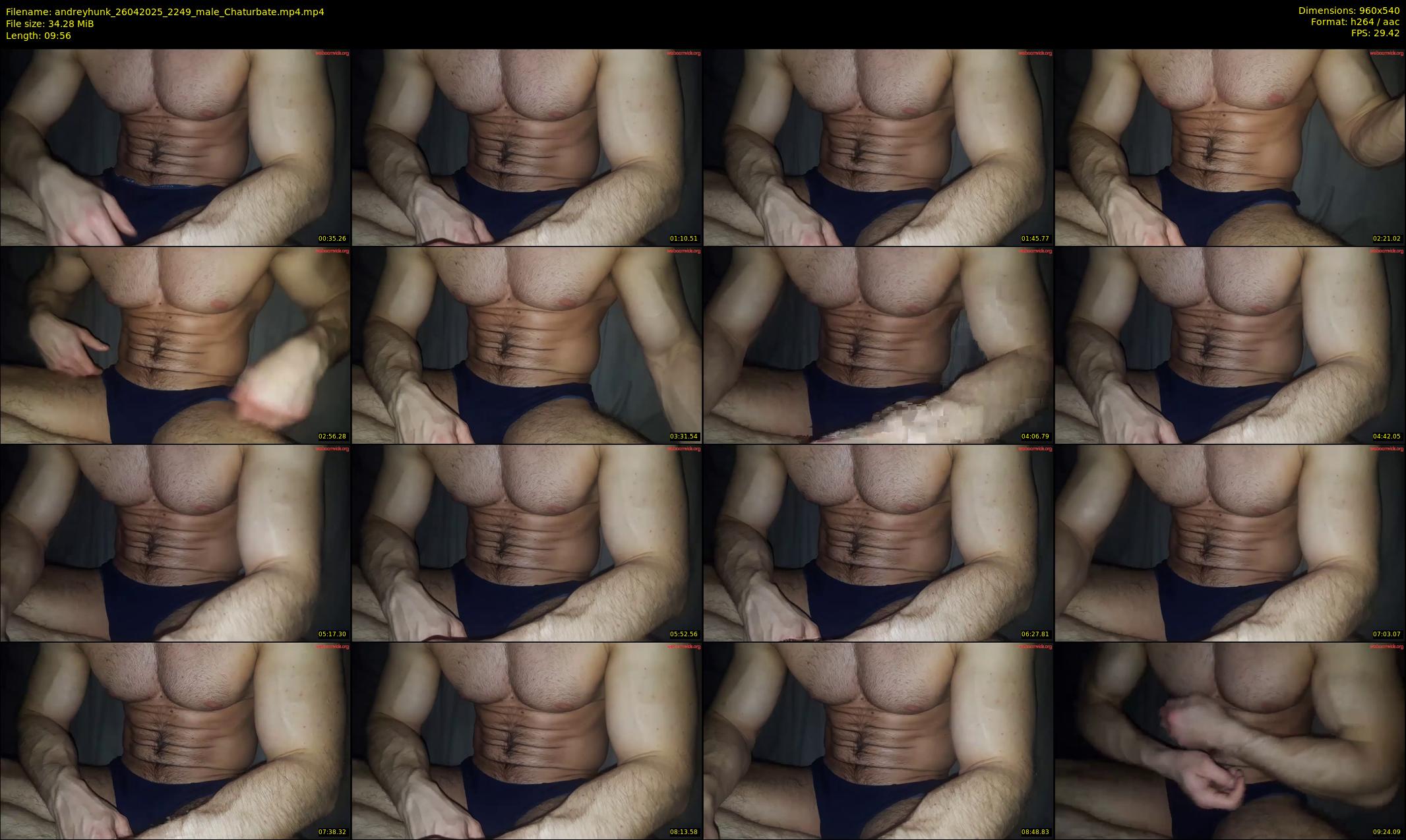 andreyhunk — 10 minute Chaturbate male cam show recording, 480p, Apr 26, 2025