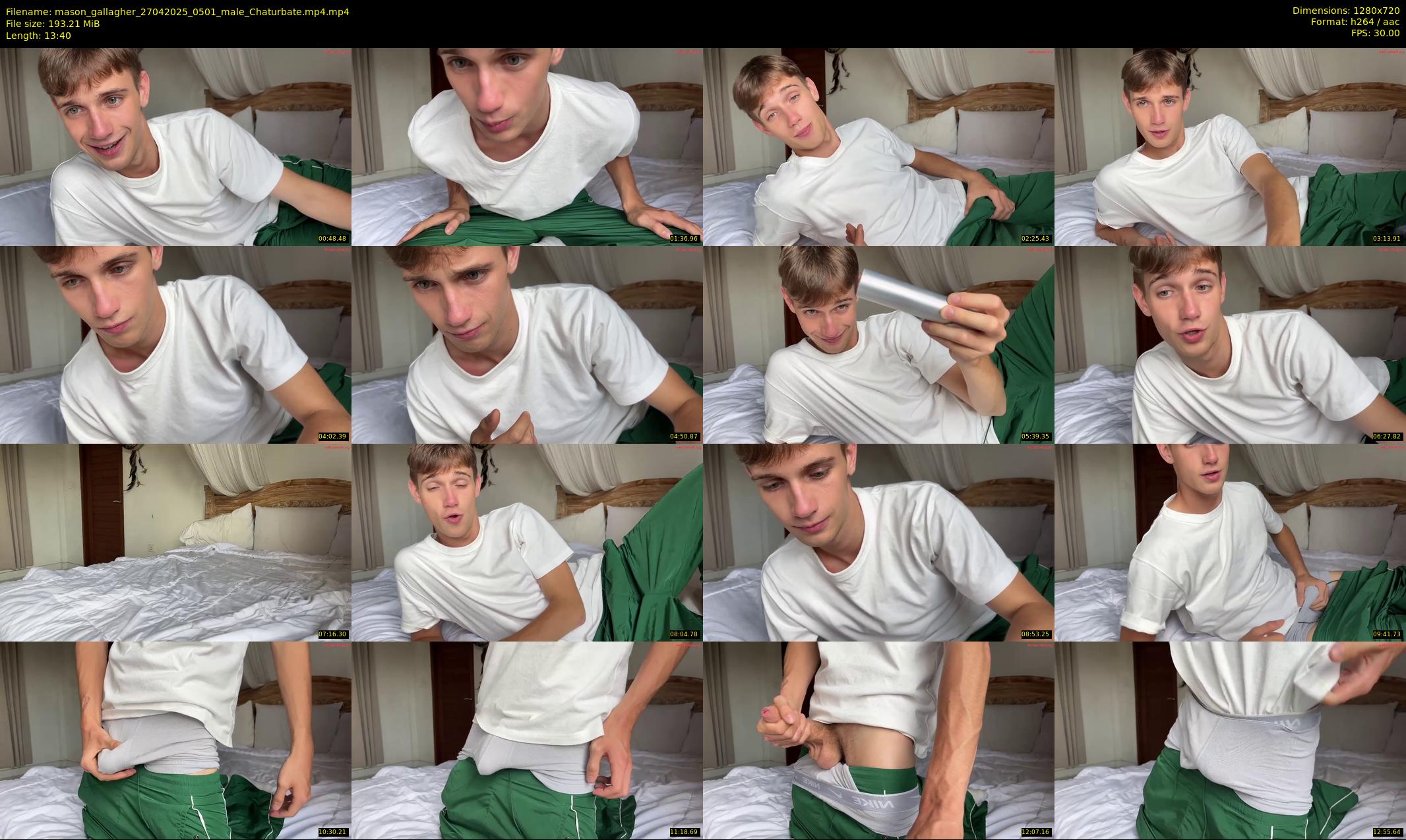 mason_gallagher — 14 minute Chaturbate male cam show recording, 720p, Apr 27, 2025