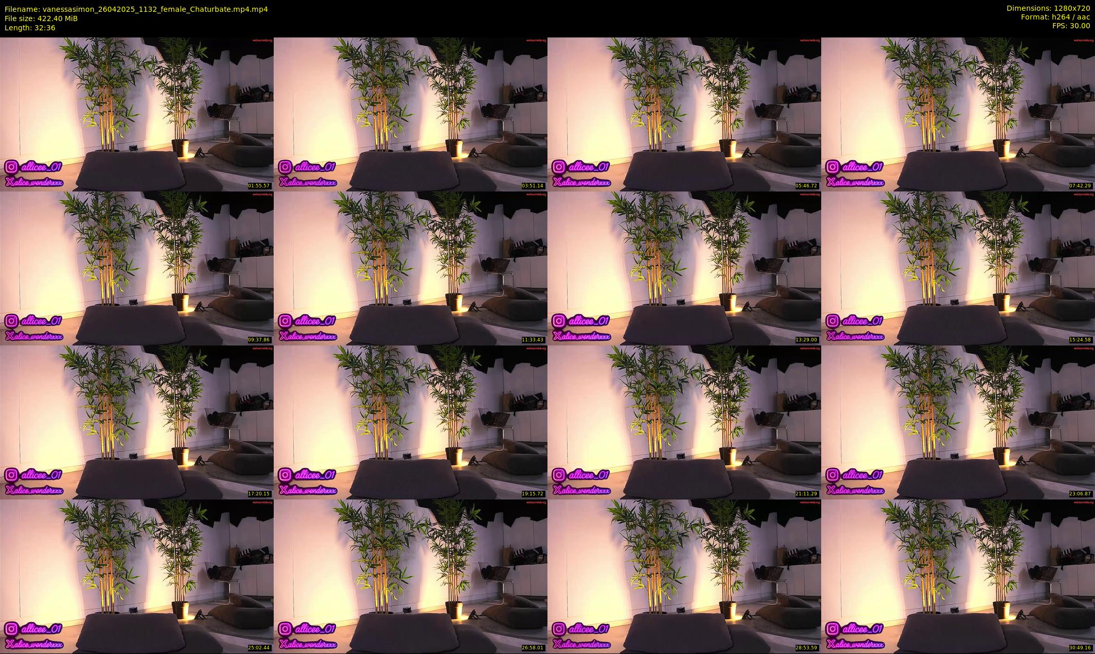 vanessasimon — 33 minute Chaturbate female cam show recording, 720p, Apr 26, 2025