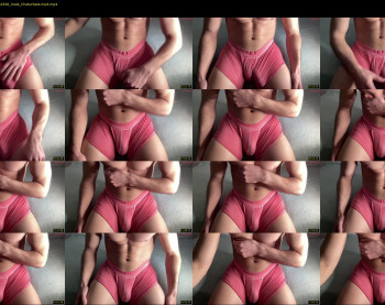 bestdick1991 — 20 minute Chaturbate male cam show recording, 720p, Apr 28, 2025