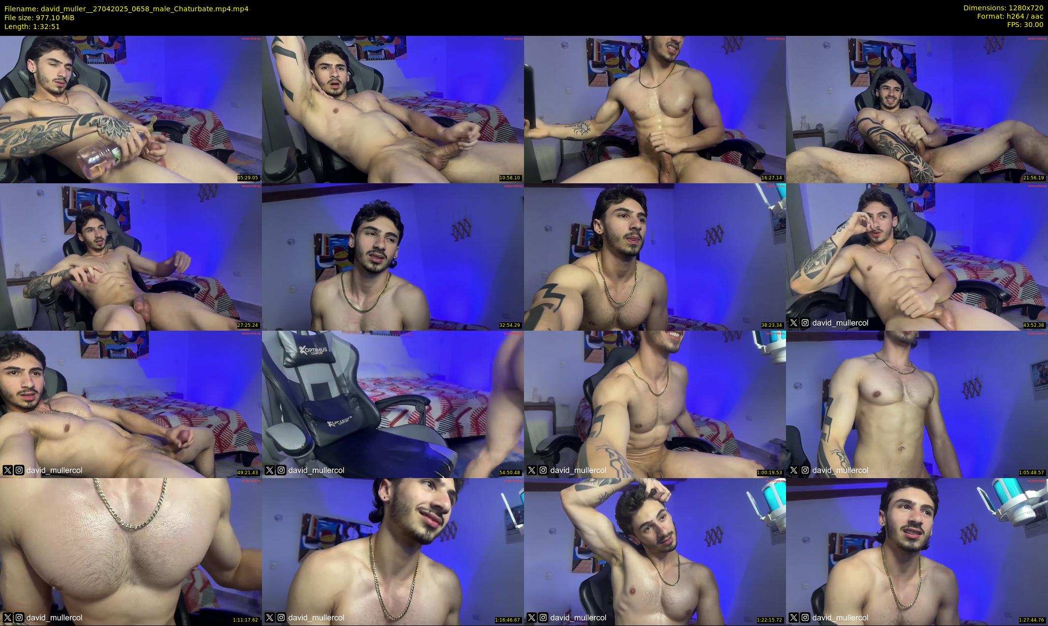 david_muller_ — 93 minute Chaturbate male cam show recording, 720p, Apr 27, 2025