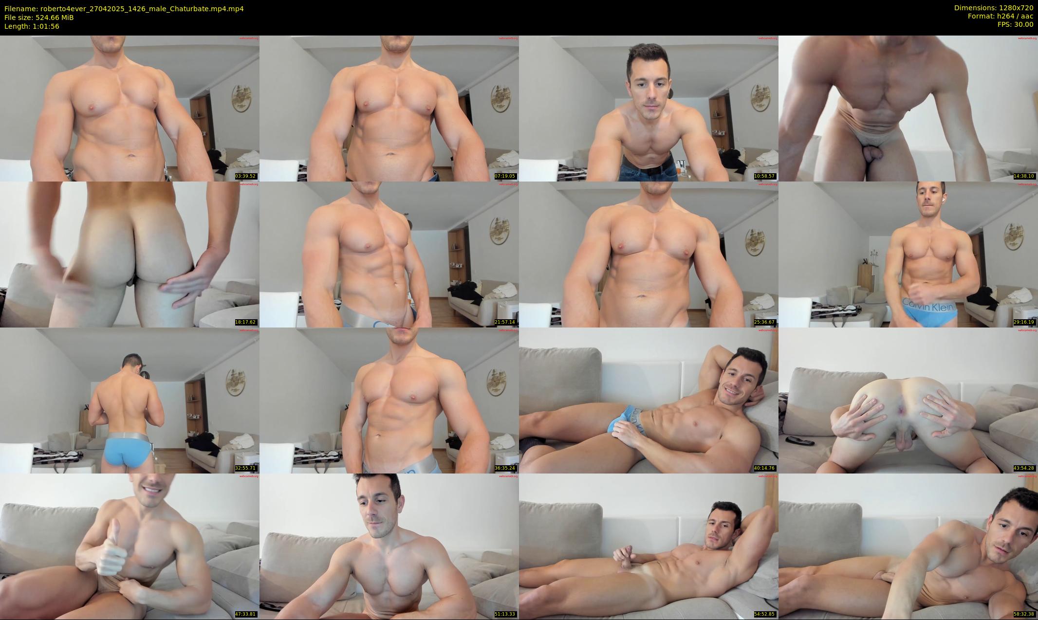 roberto4ever — 62 minute Chaturbate male cam show recording, 720p, Apr 27, 2025
