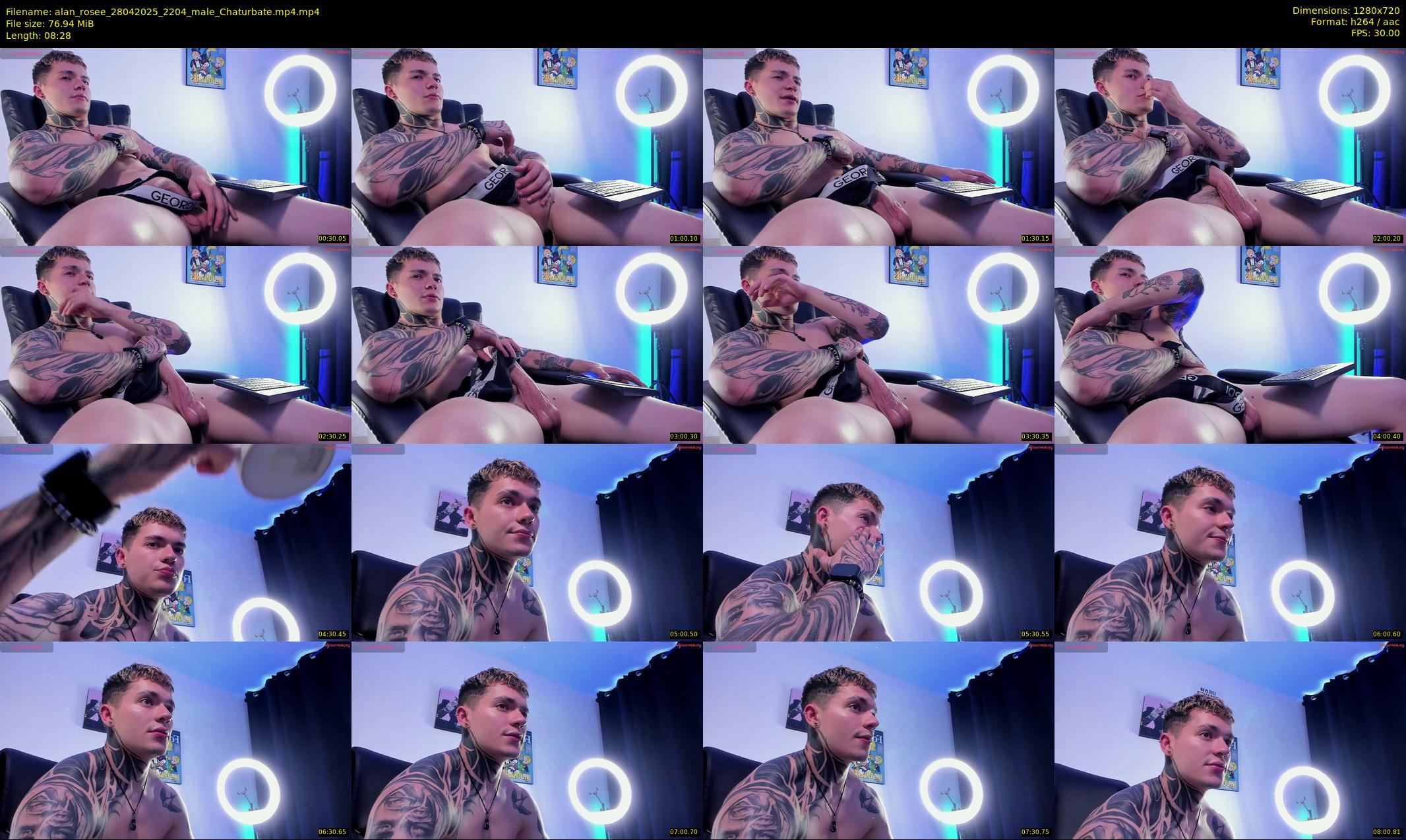 alan_rosee — 9 minute Chaturbate male cam show recording, 720p, Apr 28, 2025