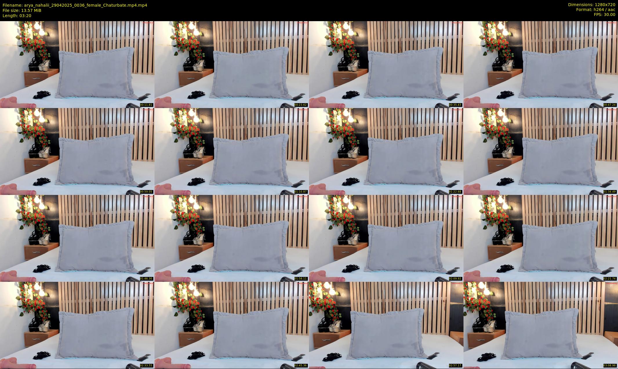 arya_nahalii — 4 minute Chaturbate female cam show recording, 720p, Apr 29, 2025