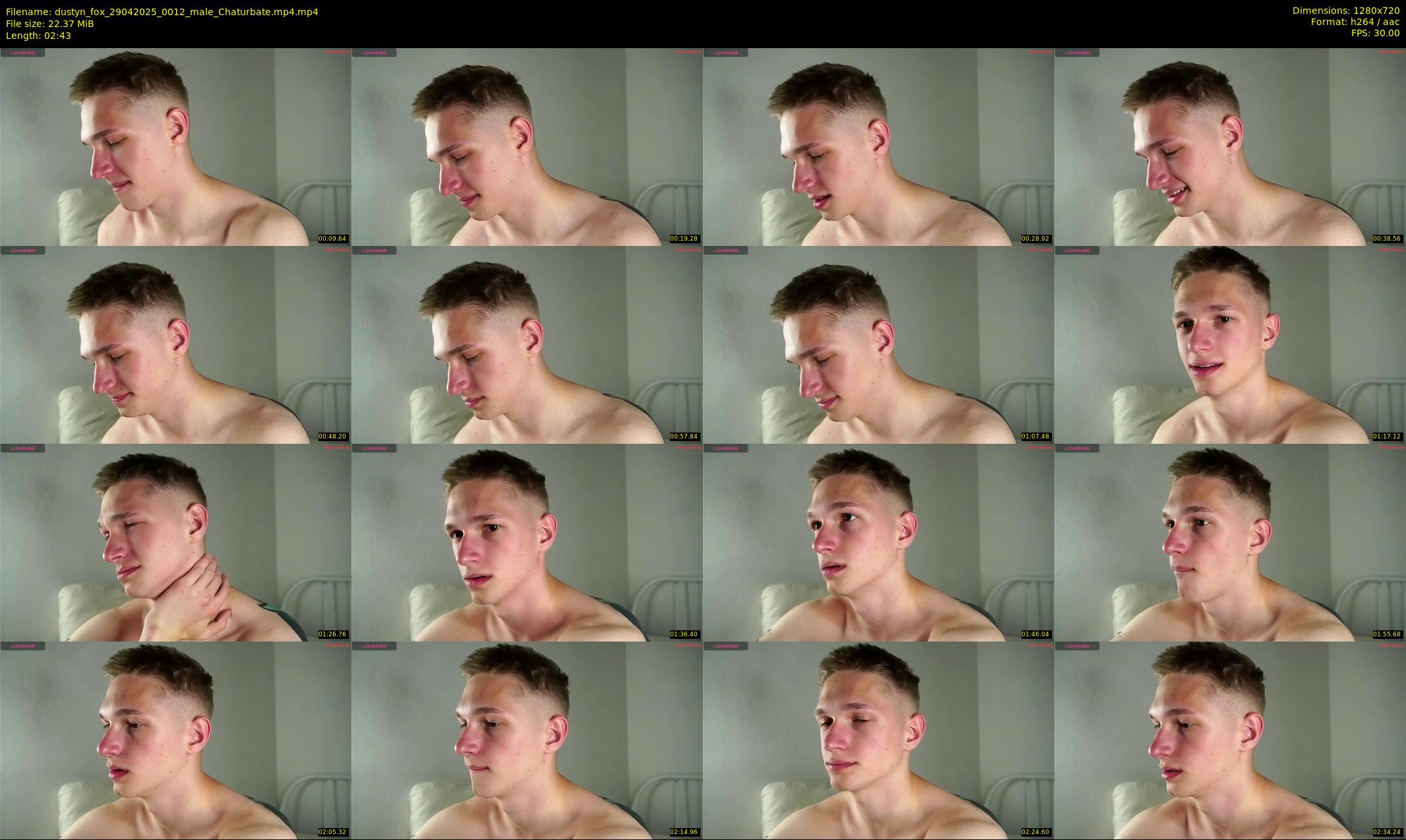dustyn_fox — 3 minute Chaturbate male cam show recording, 720p, Apr 29, 2025