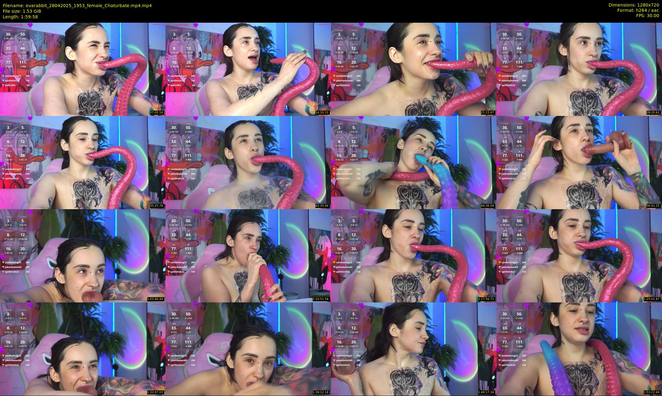 evarabbit — 120 minute Chaturbate female cam show recording, 720p, Apr 28, 2025