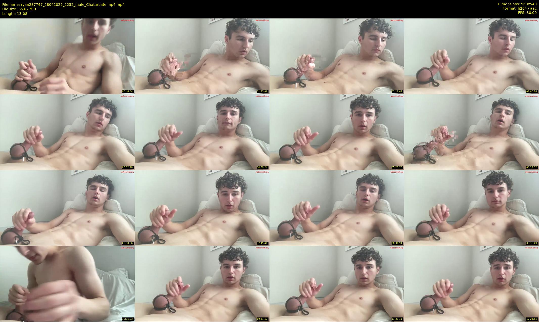 ryan287747 — 14 minute Chaturbate male cam show recording, 480p, Apr 28, 2025