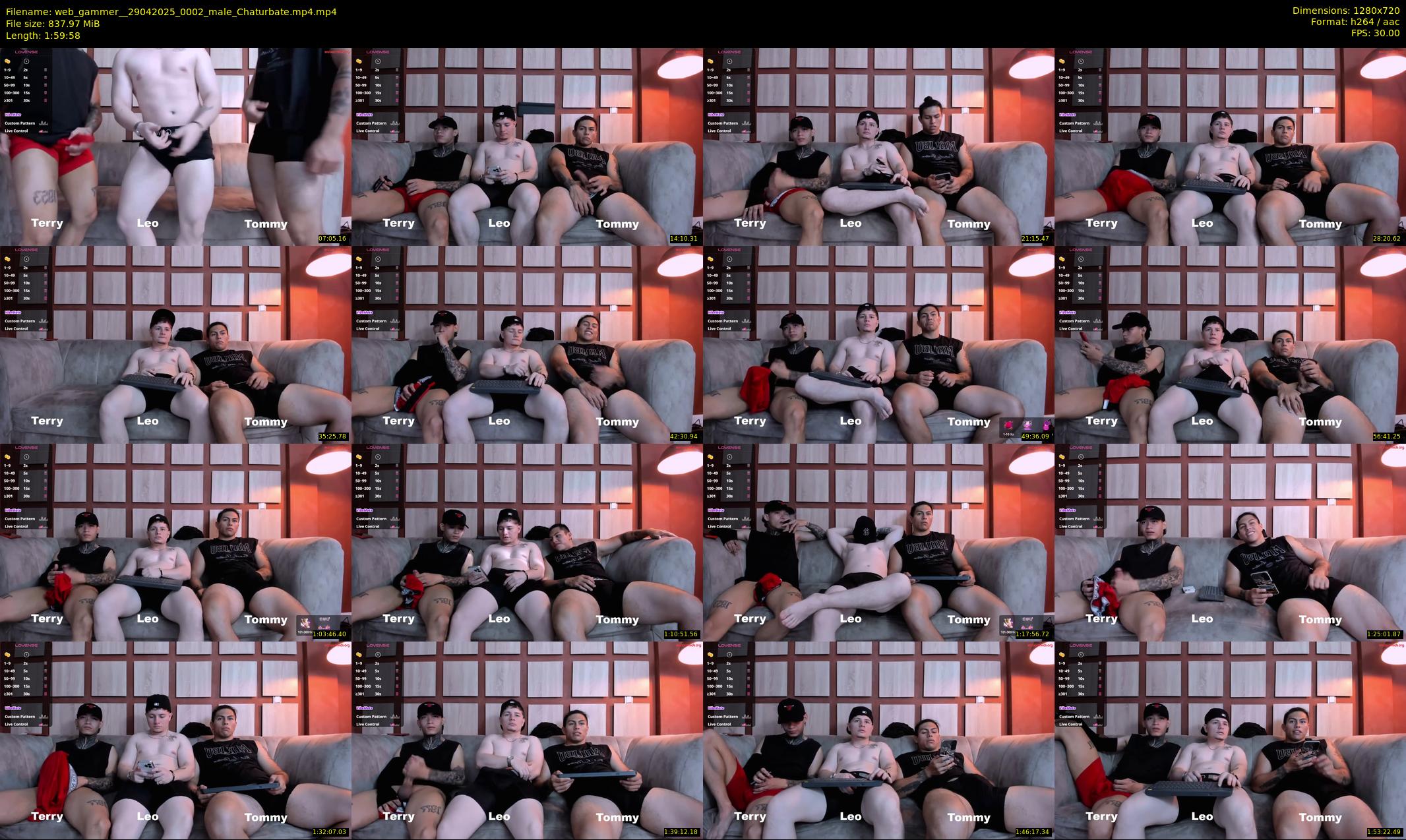 web_gammer_ — 120 minute Chaturbate male cam show recording, 720p, Apr 29, 2025