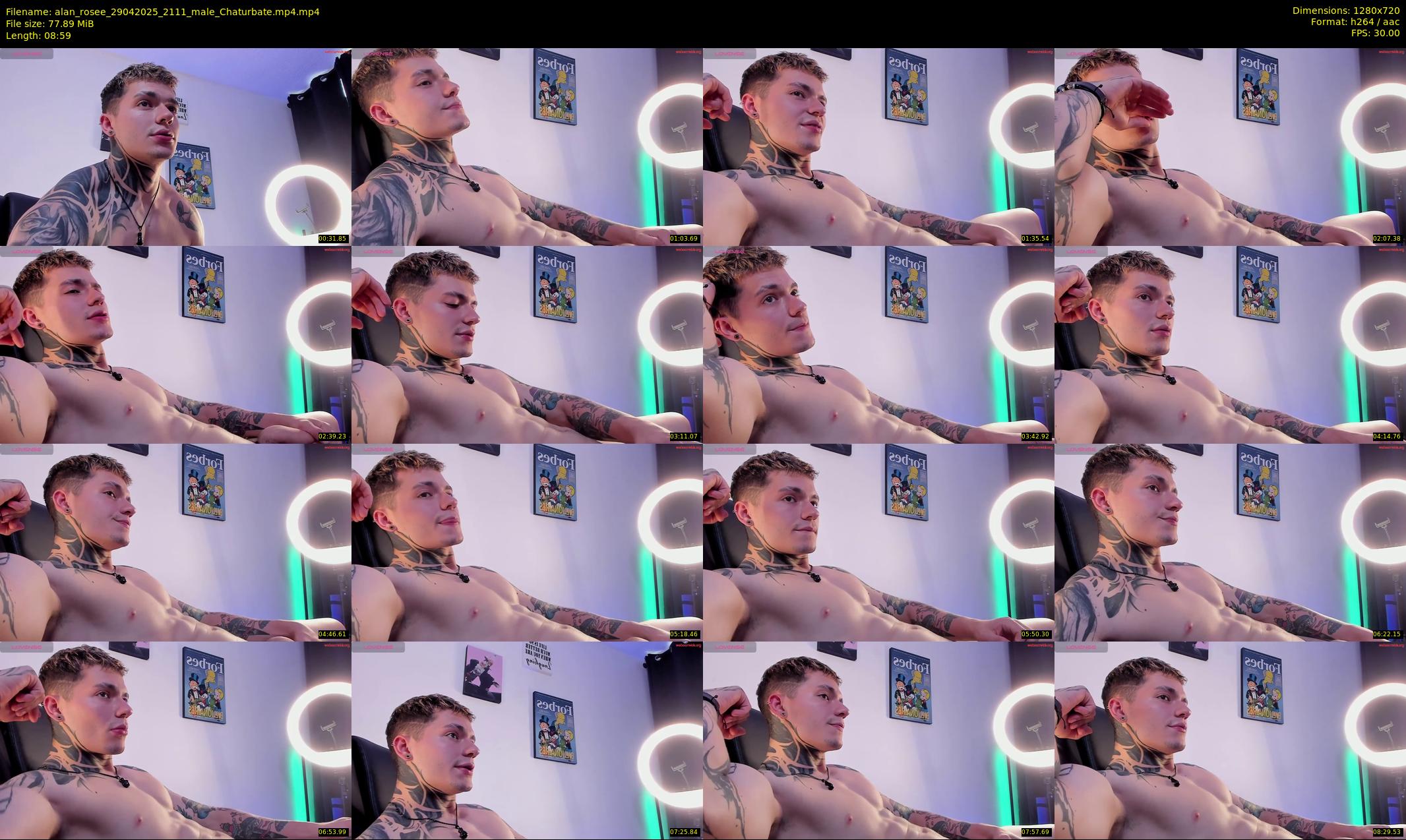 alan_rosee — 9 minute Chaturbate male cam show recording, 720p, Apr 29, 2025