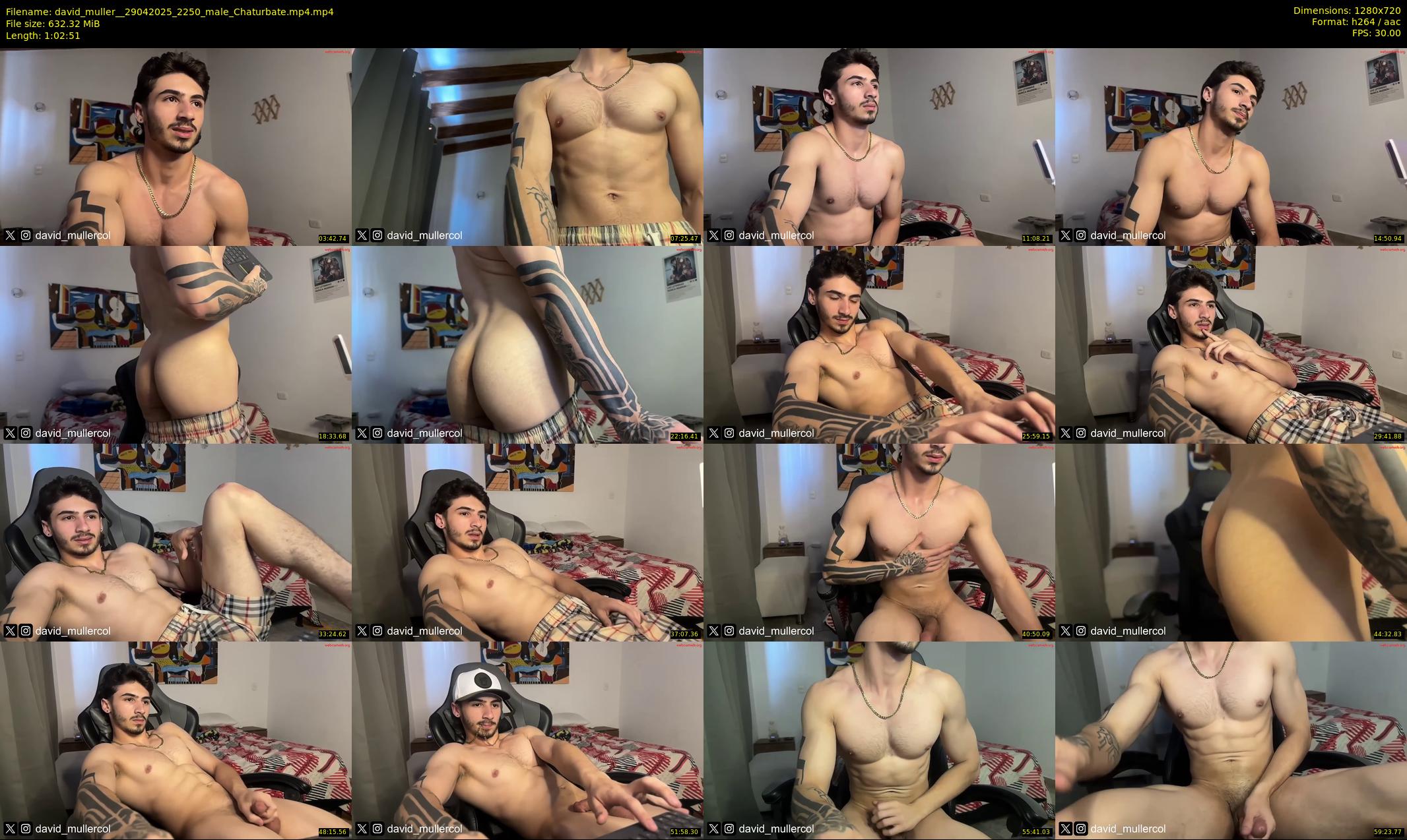 david_muller_ — 63 minute Chaturbate male cam show recording, 720p, Apr 29, 2025