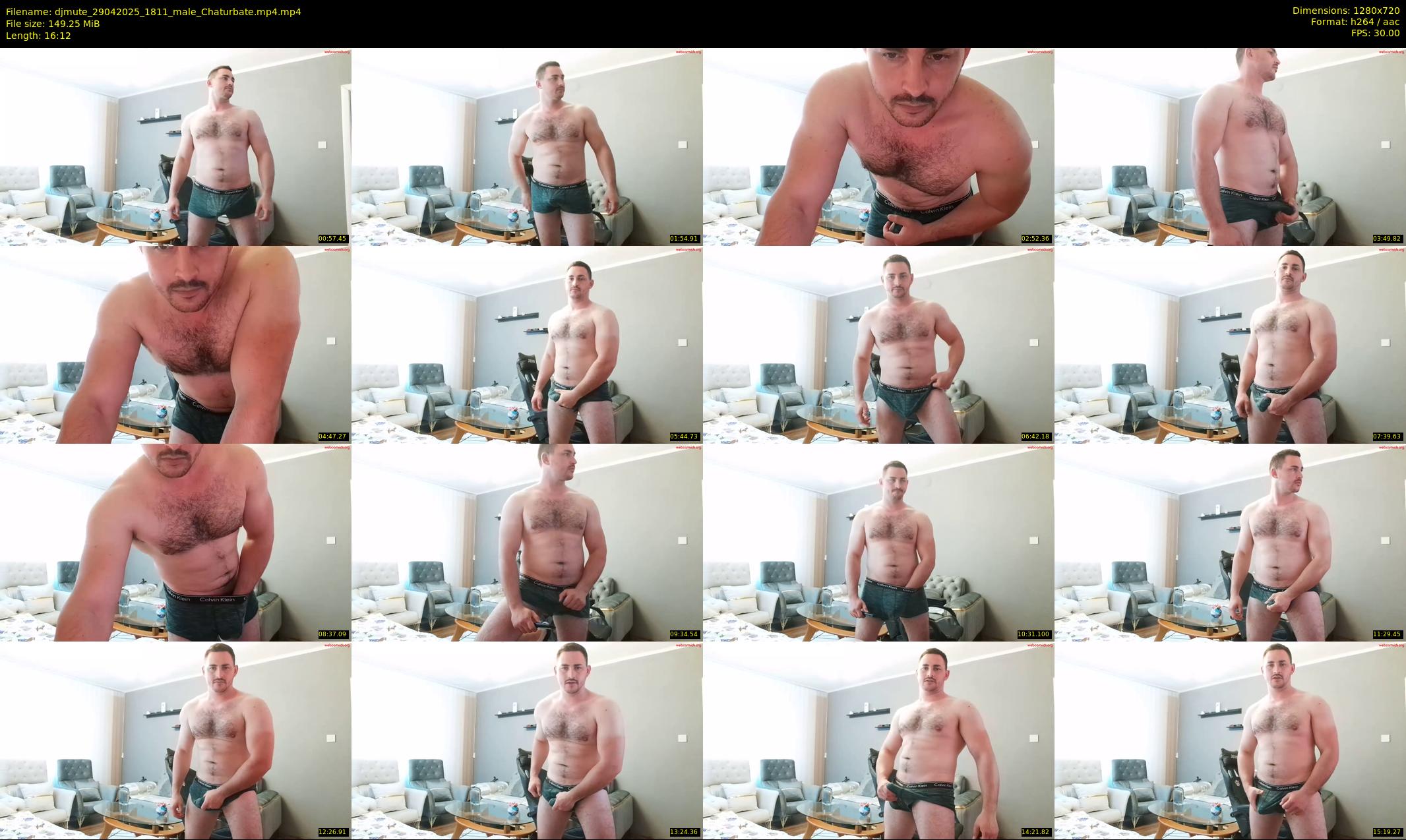djmute — 17 minute Chaturbate male cam show recording, 720p, Apr 29, 2025