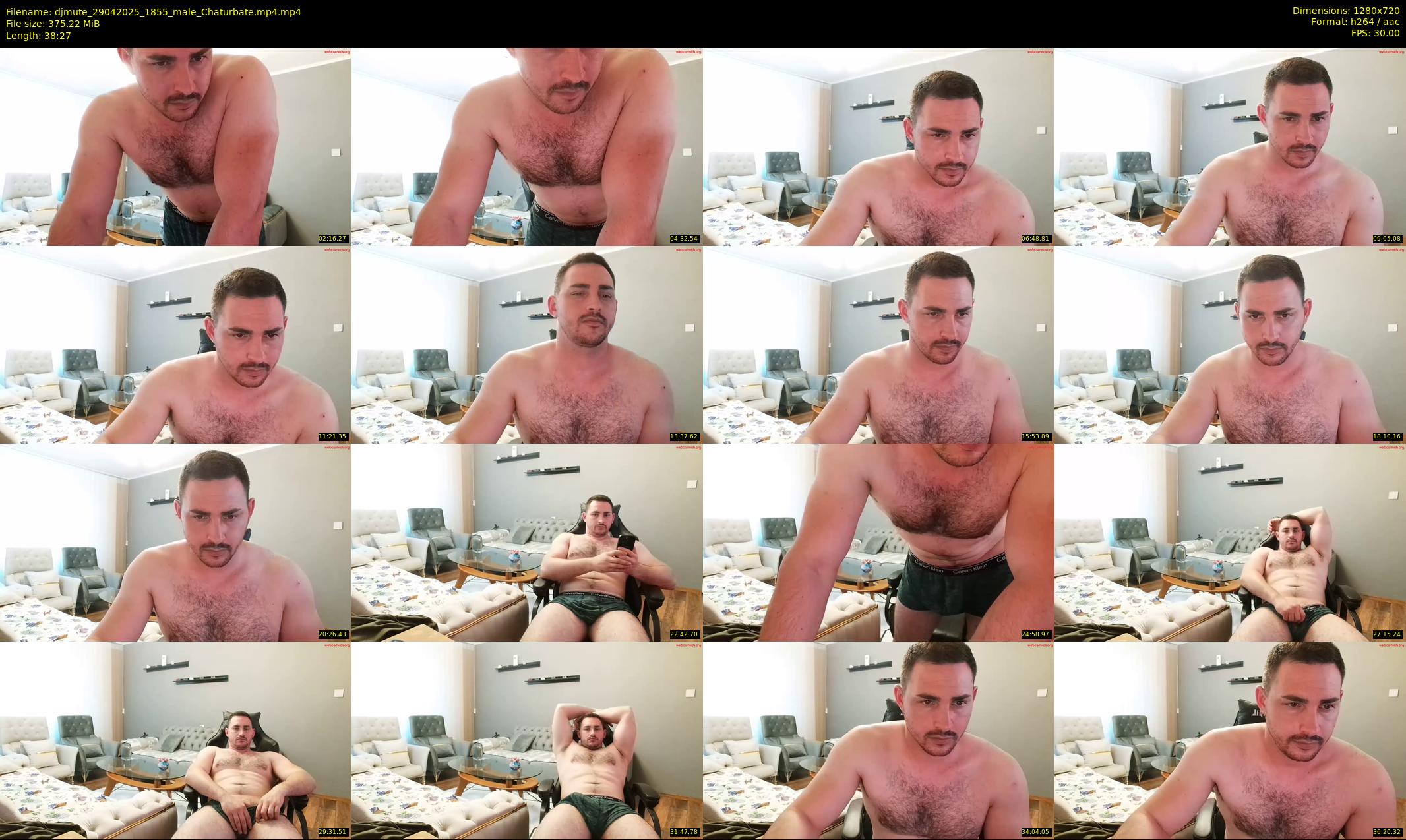 djmute — 39 minute Chaturbate male cam show recording, 720p, Apr 29, 2025