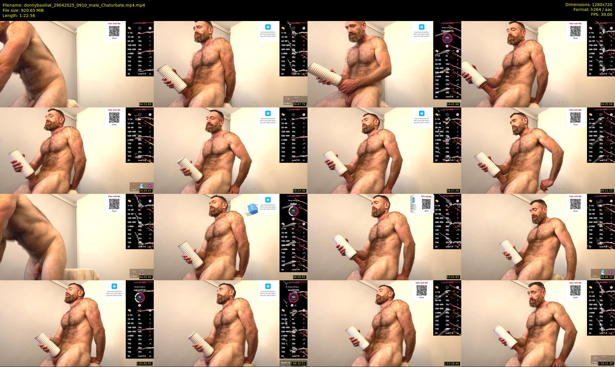 donnybasilisk — 83 minute Chaturbate male cam show recording, 720p, Apr 29, 2025