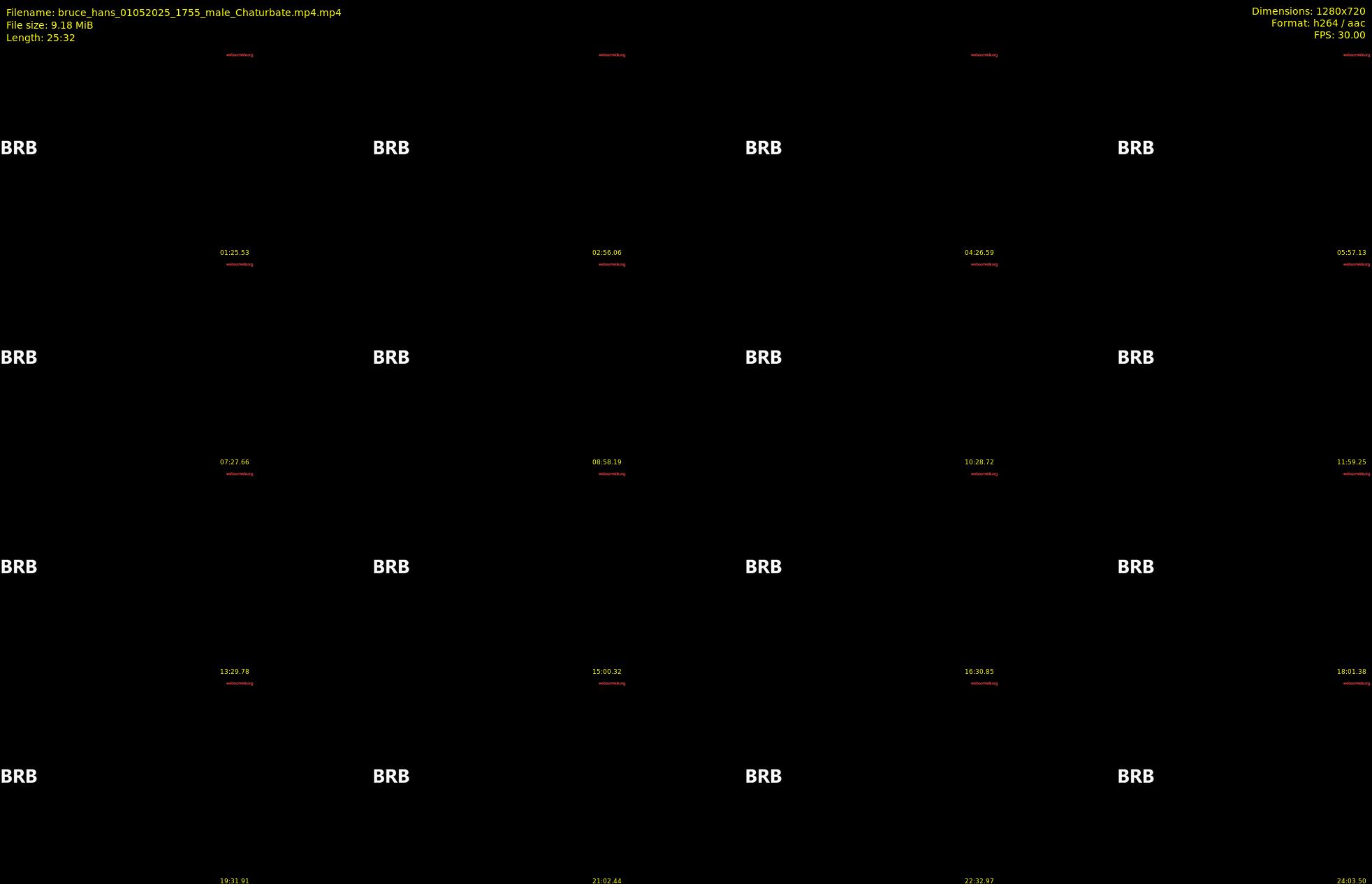 bruce_hans — 26 minute Chaturbate male cam show recording, 720p, May 1, 2025