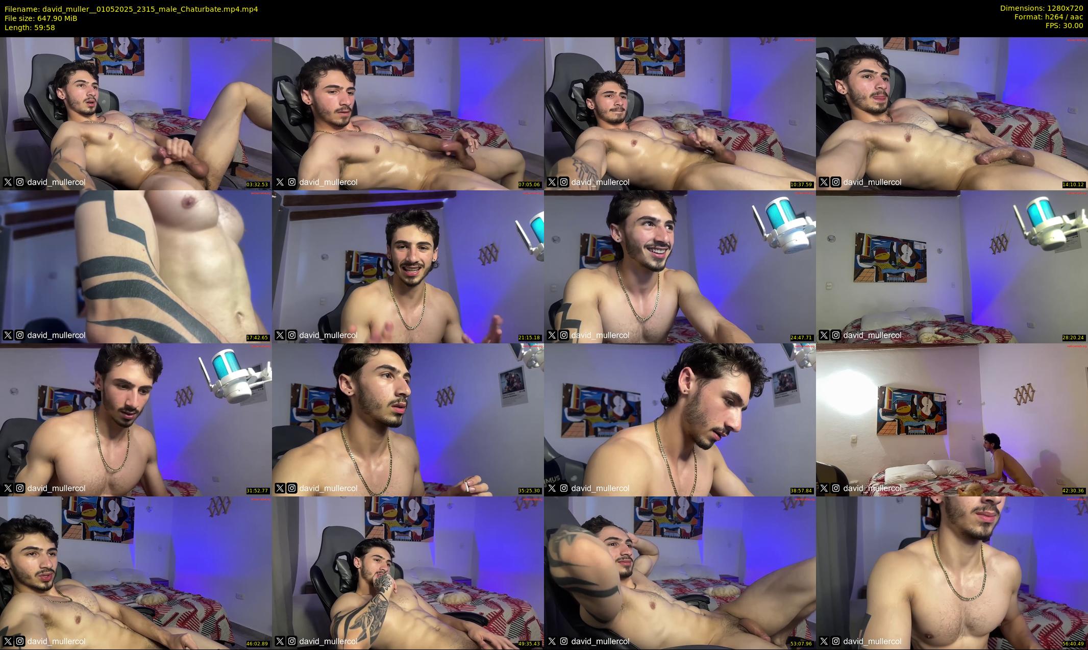 david_muller_ — 60 minute Chaturbate male cam show recording, 720p, May 1, 2025