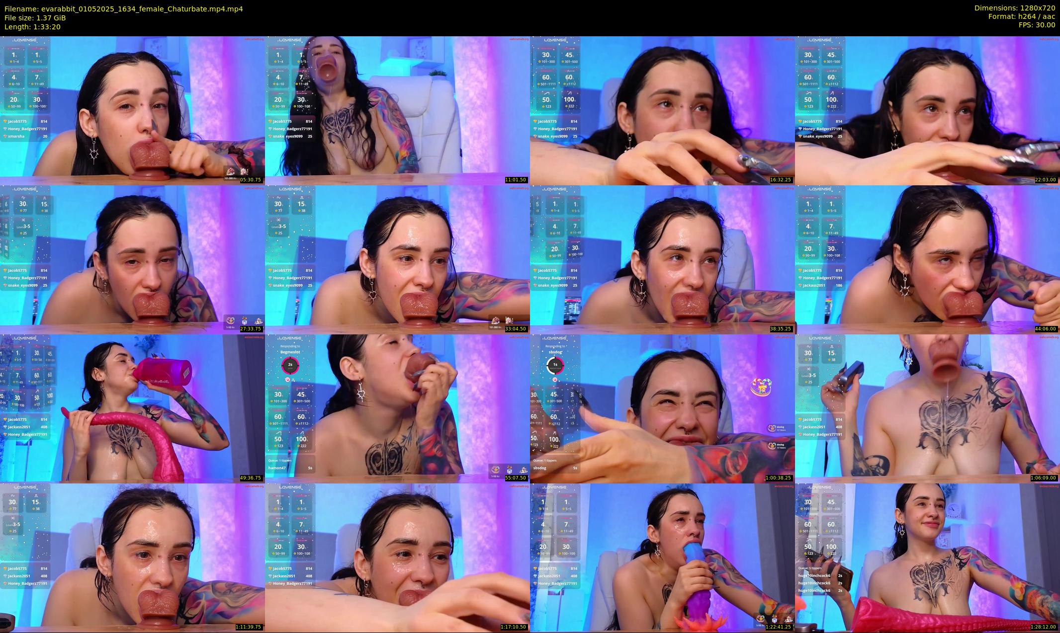 evarabbit — 94 minute Chaturbate female cam show recording, 720p, May 1, 2025