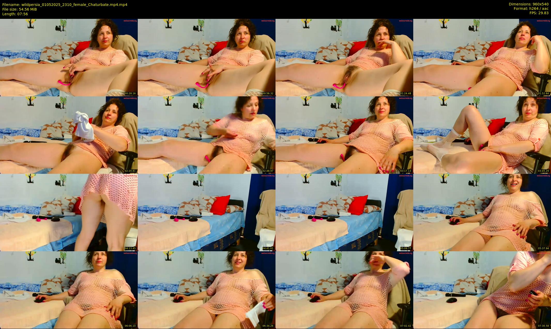 wildpersia — 8 minute Chaturbate female cam show recording, 480p, May 1, 2025