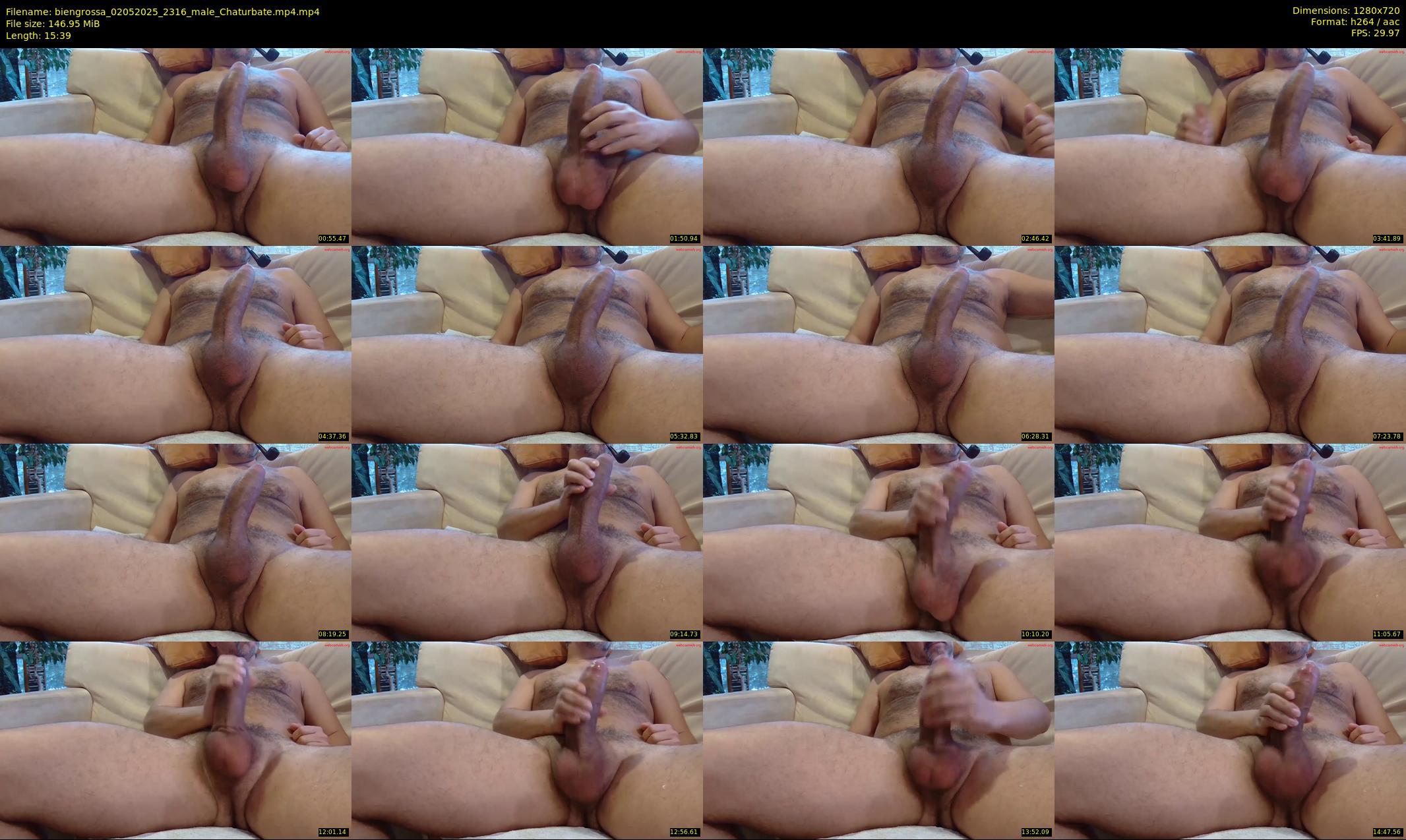 biengrossa — 16 minute Chaturbate male cam show recording, 720p, May 2, 2025