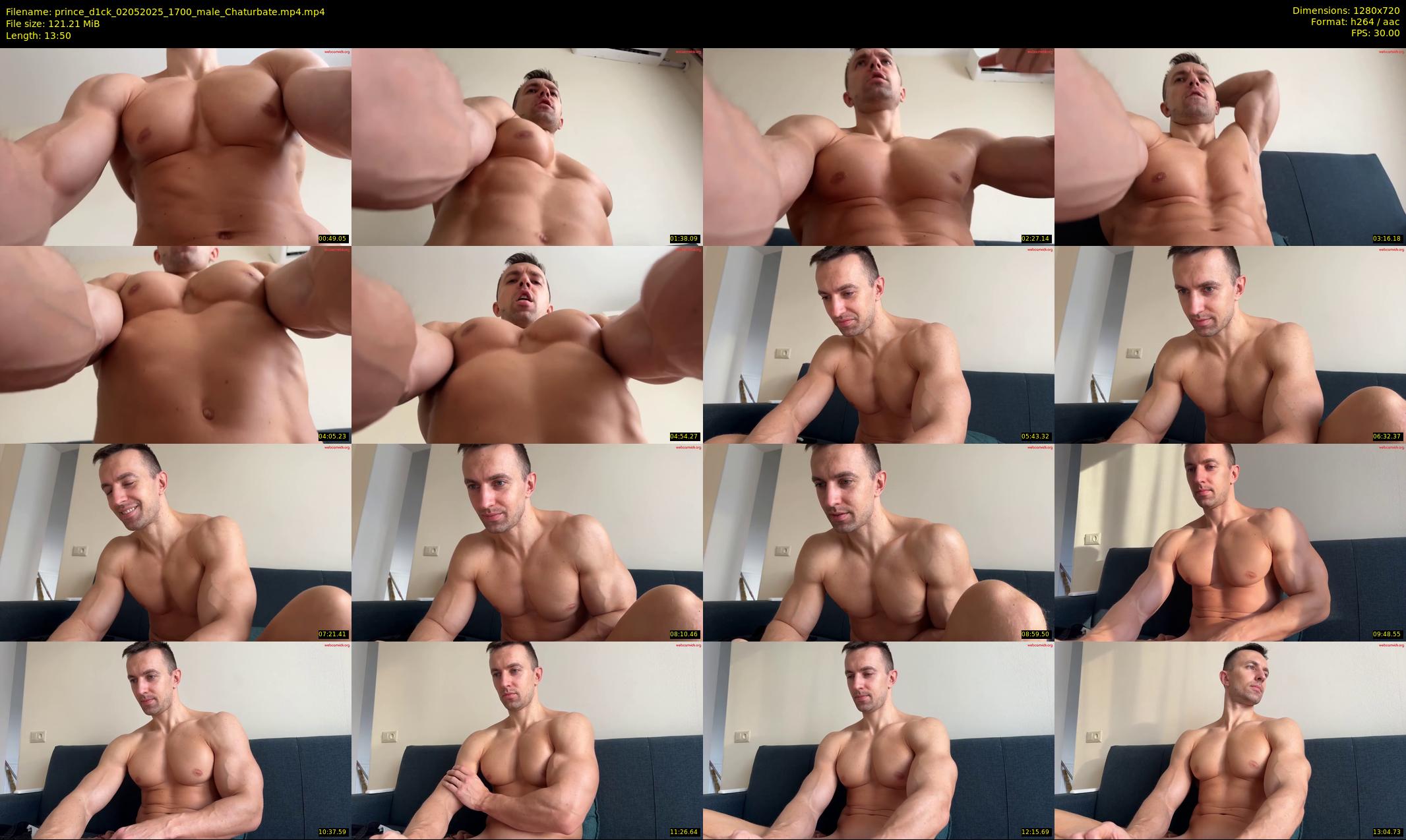 prince_d1ck — 14 minute Chaturbate male cam show recording, 720p, May 2, 2025