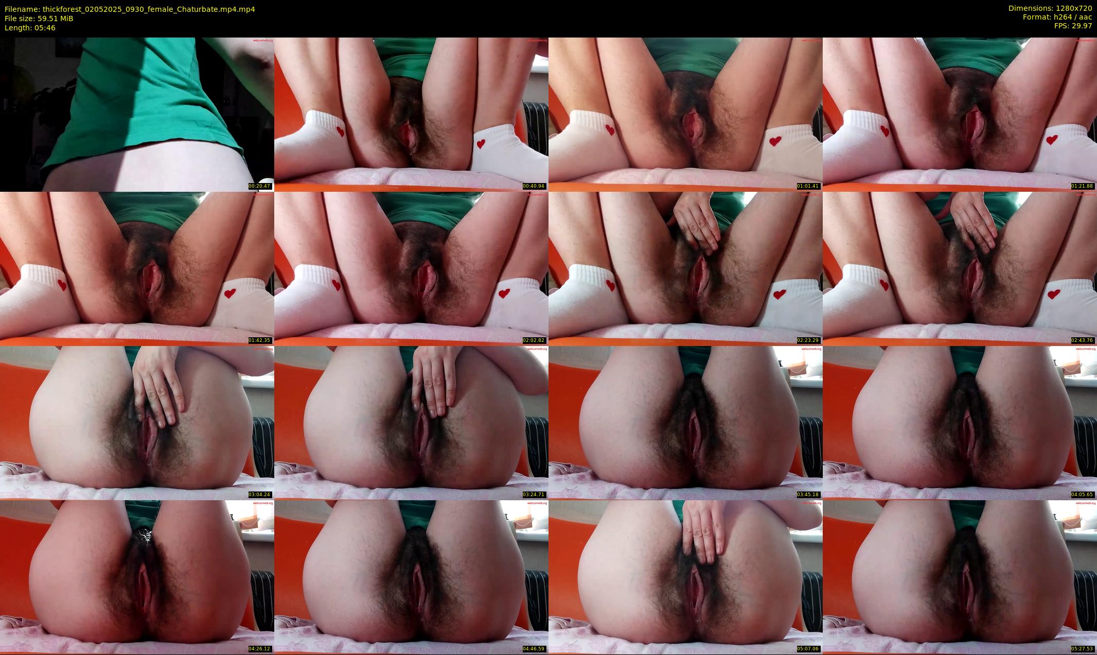 thickforest — 6 minute Chaturbate female cam show recording, 720p, May 2, 2025