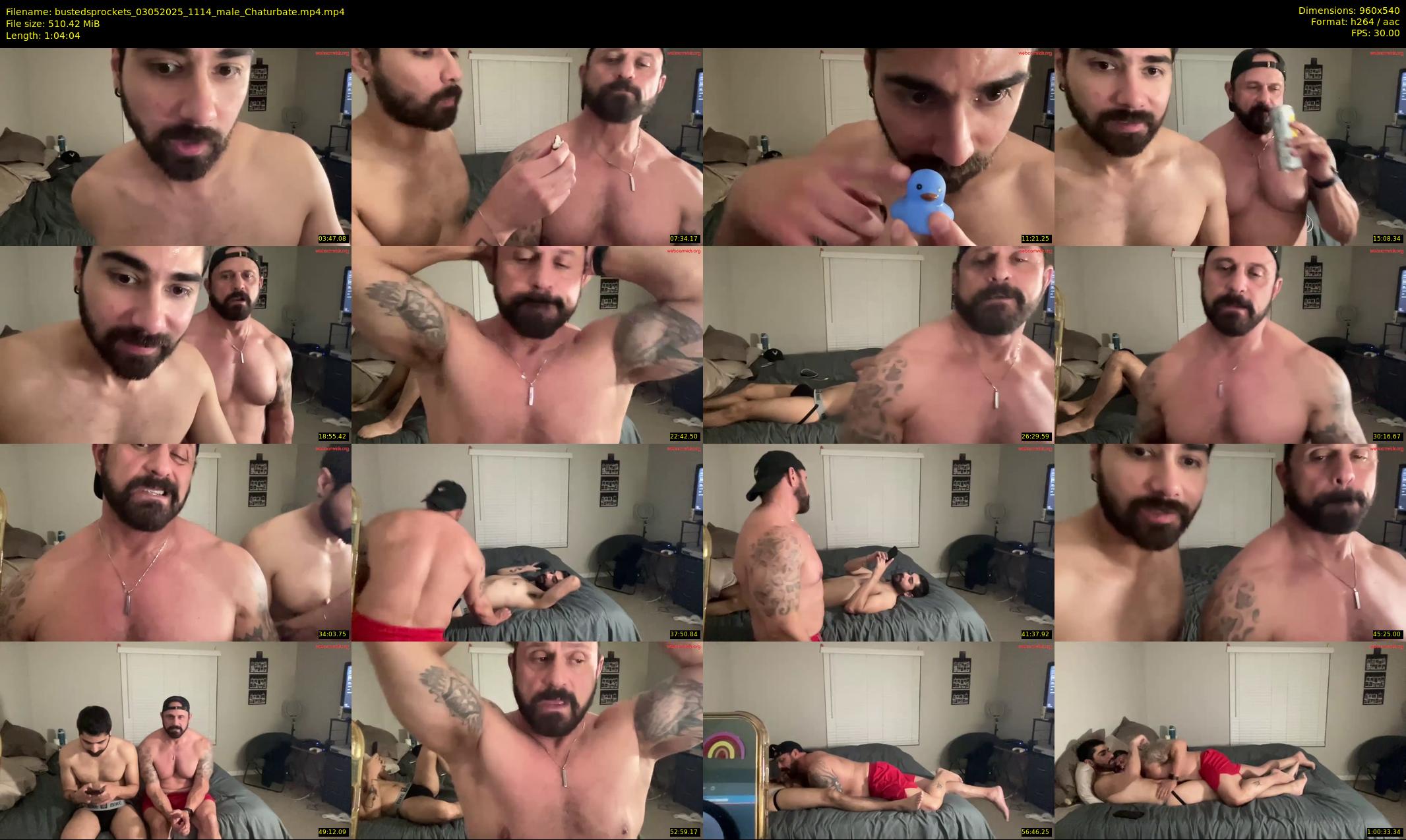 bustedsprockets — 65 minute Chaturbate male cam show recording, 480p, May 3, 2025
