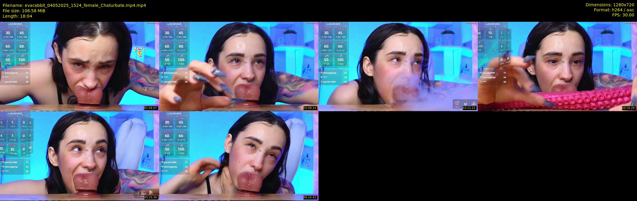 evarabbit — 19 minute Chaturbate female cam show recording, 720p, May 4, 2025