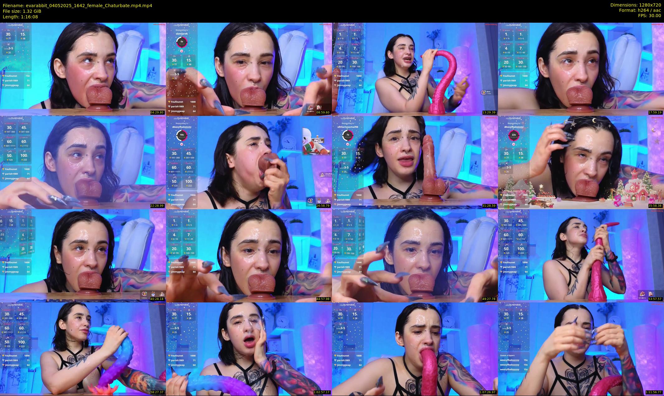 evarabbit — 77 minute Chaturbate female cam show recording, 720p, May 4, 2025