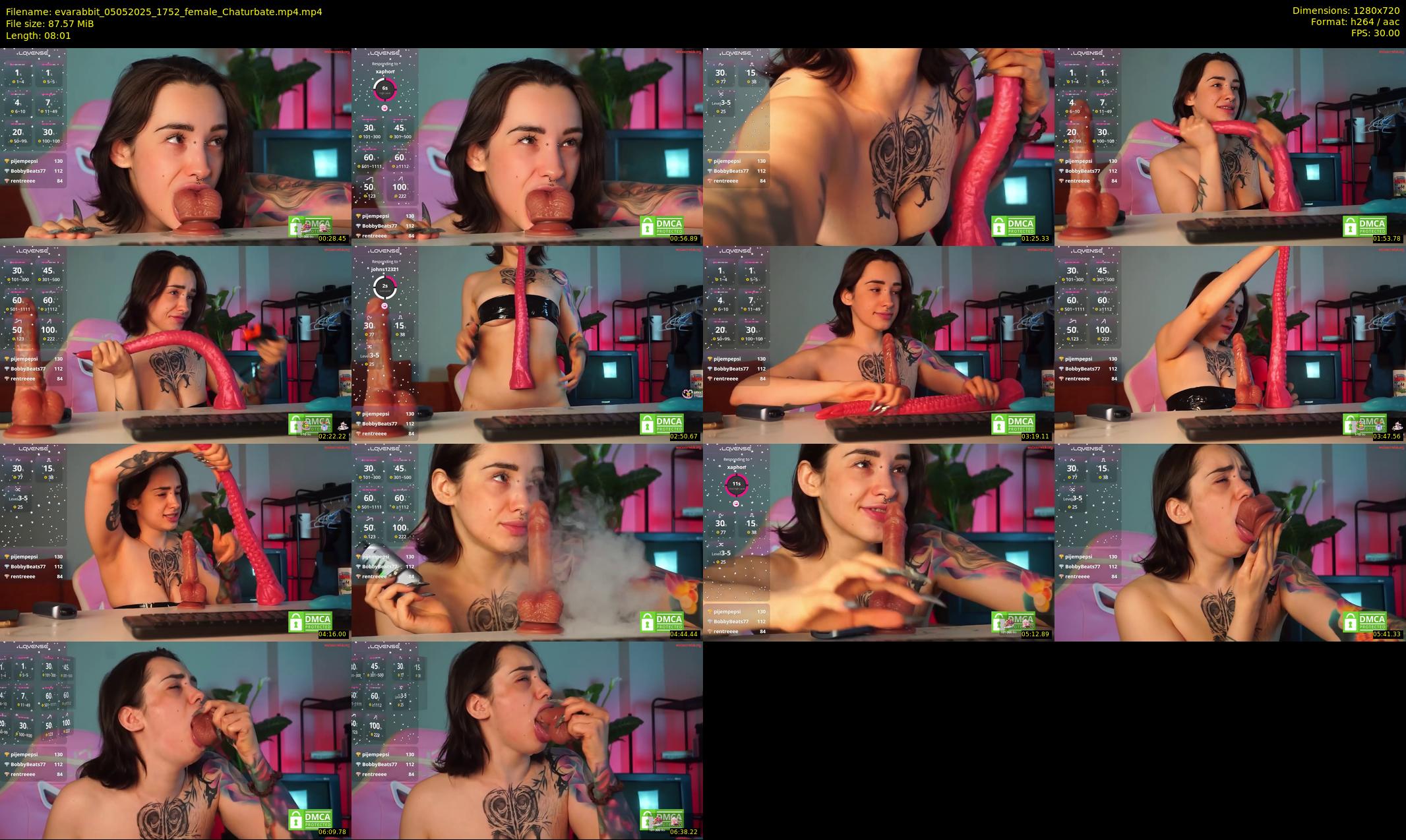 evarabbit — 9 minute Chaturbate female cam show recording, 720p, May 5, 2025