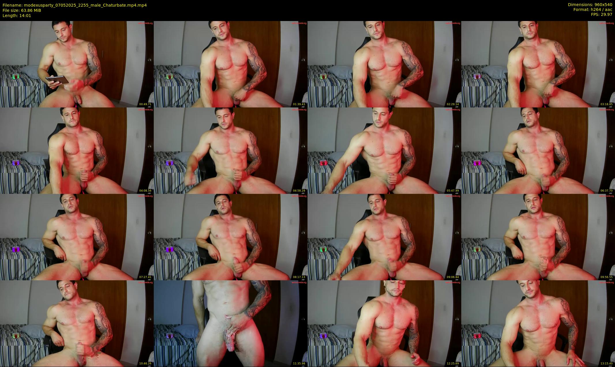 modexusparty — 15 minute Chaturbate male cam show recording, 480p, May 7, 2025