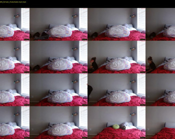 alannarack — 18 minute Chaturbate female cam show recording, 720p, May 8, 2025