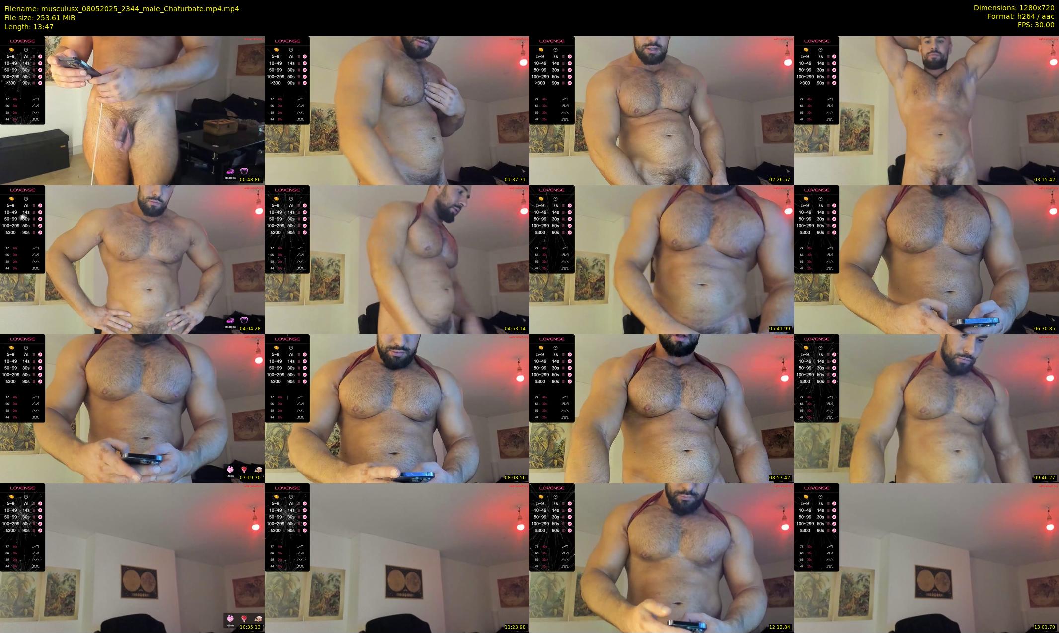 musculusx — 14 minute Chaturbate male cam show recording, 720p, May 8, 2025