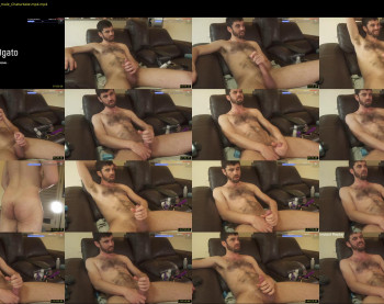 rndmzd — 120 minute Chaturbate male cam show recording, 720p, May 8, 2025