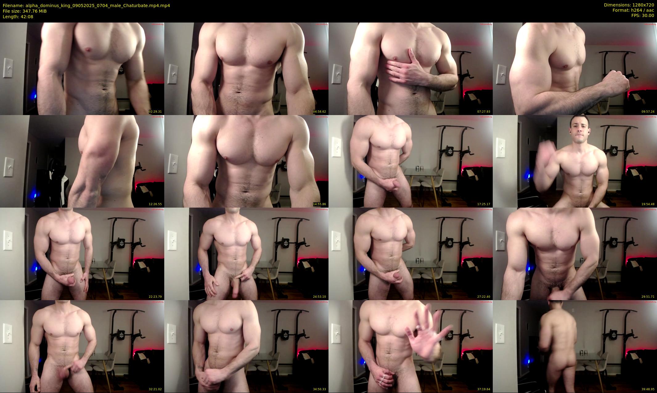 alpha_dominus_king — 43 minute Chaturbate male cam show recording, 720p, May 9, 2025