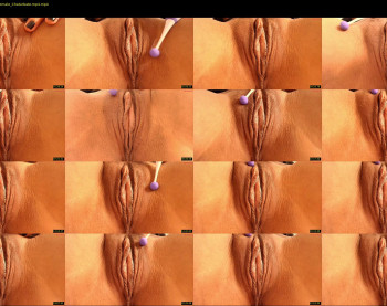 pvssi_ — 25 minute Chaturbate female cam show recording, 720p, May 9, 2025