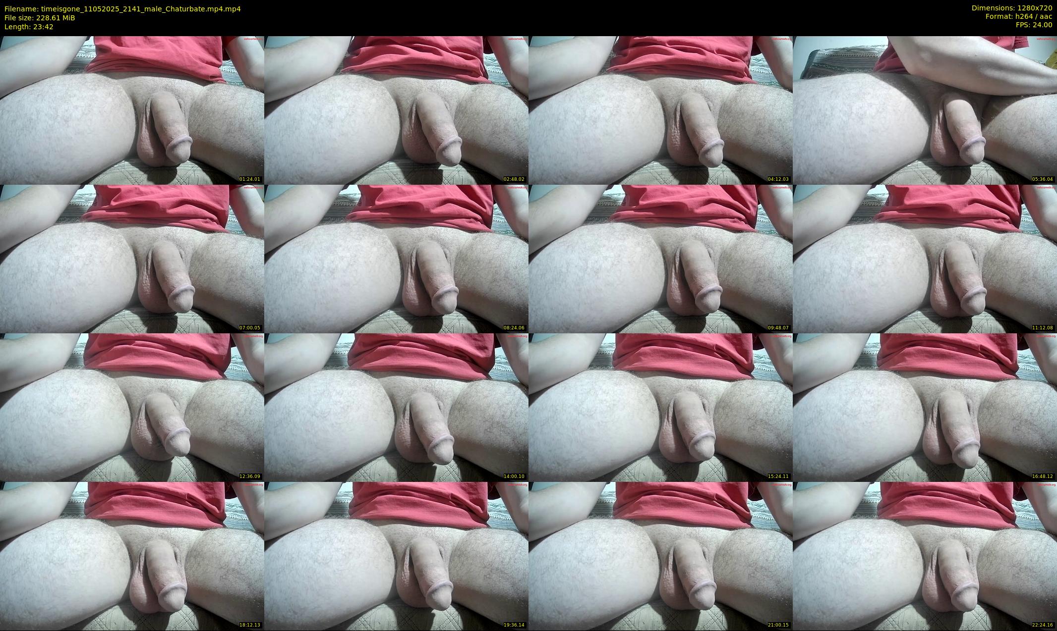 timeisgone — 24 minute Chaturbate couple cam show recording, 720p, May 11, 2025