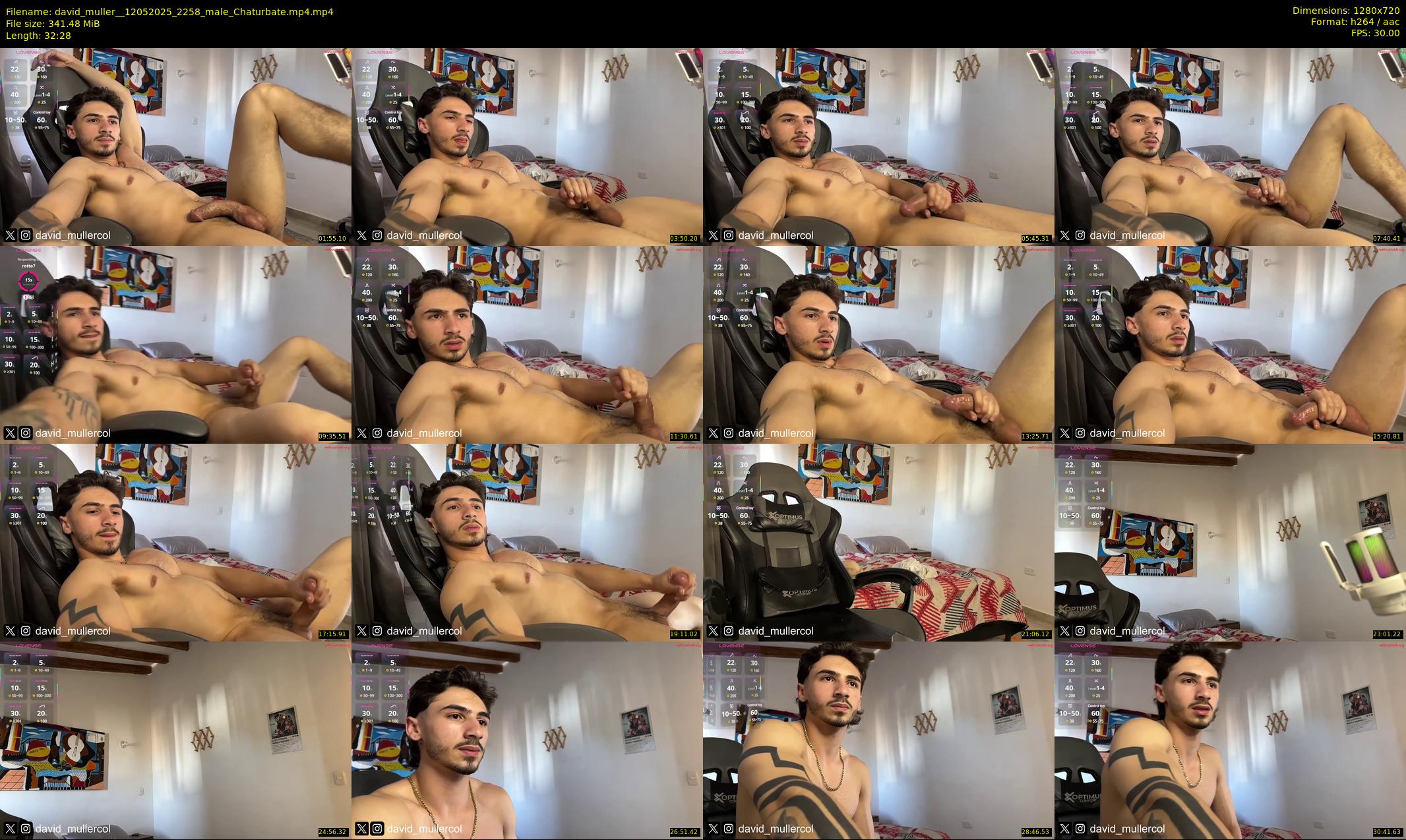 david_muller_ — 33 minute Chaturbate male cam show recording, 720p, May 12, 2025