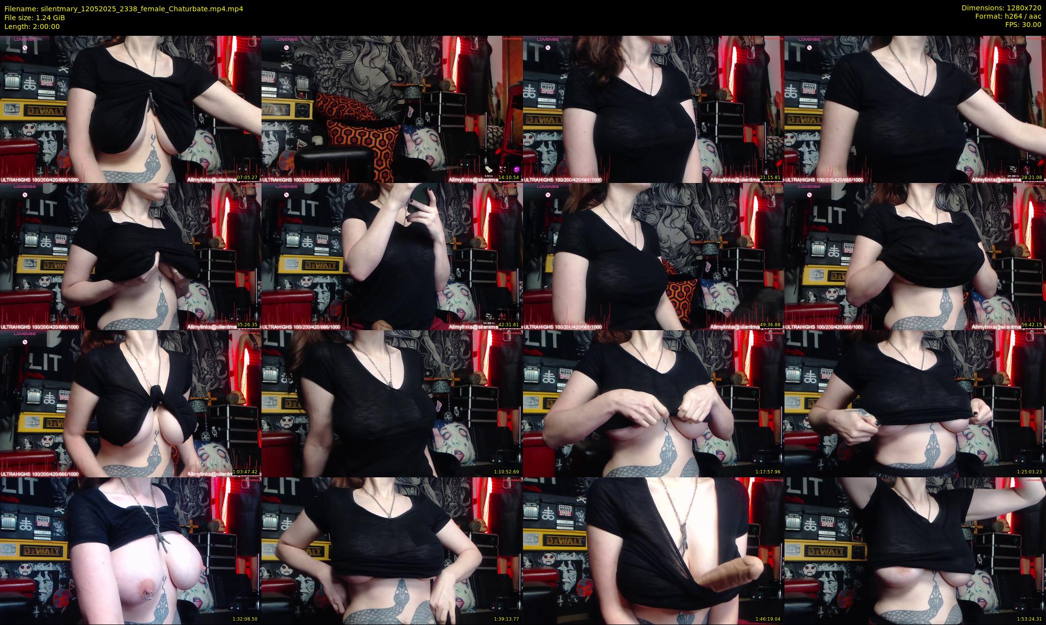 silentmary — 120 minute Chaturbate female cam show recording, 720p, May 12, 2025