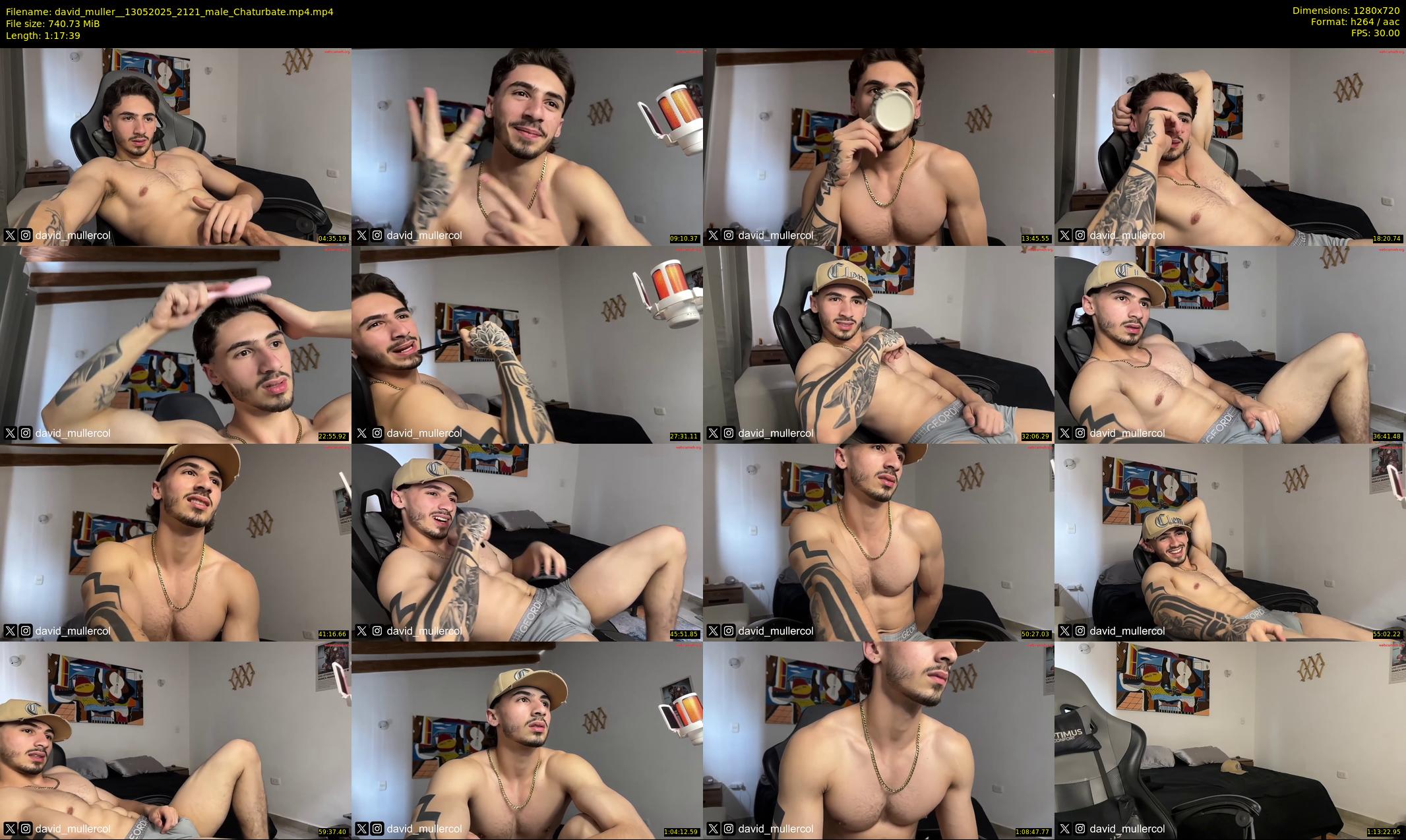 david_muller_ — 78 minute Chaturbate male cam show recording, 720p, May 13, 2025