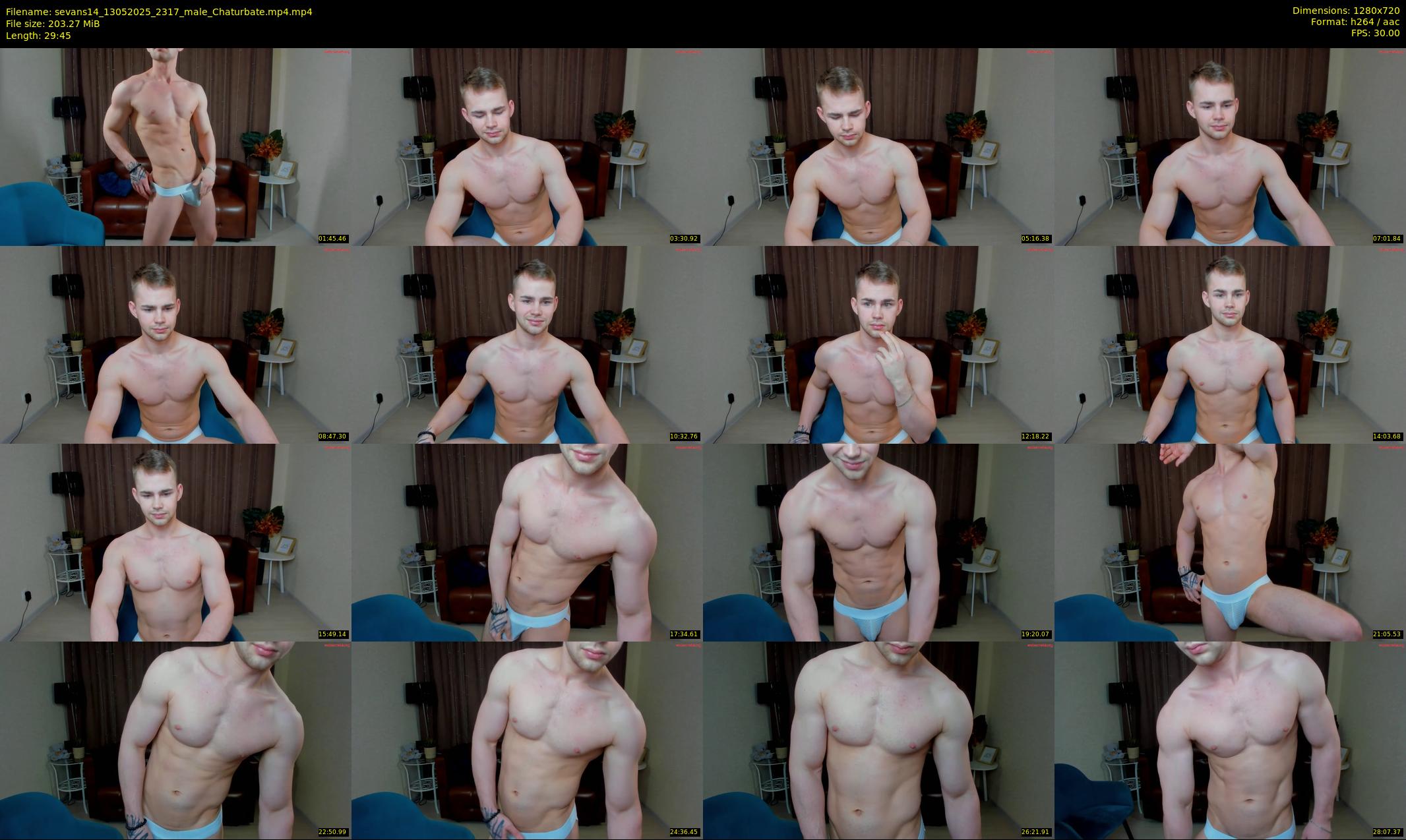 sevans14 — 30 minute Chaturbate male cam show recording, 720p, May 13, 2025