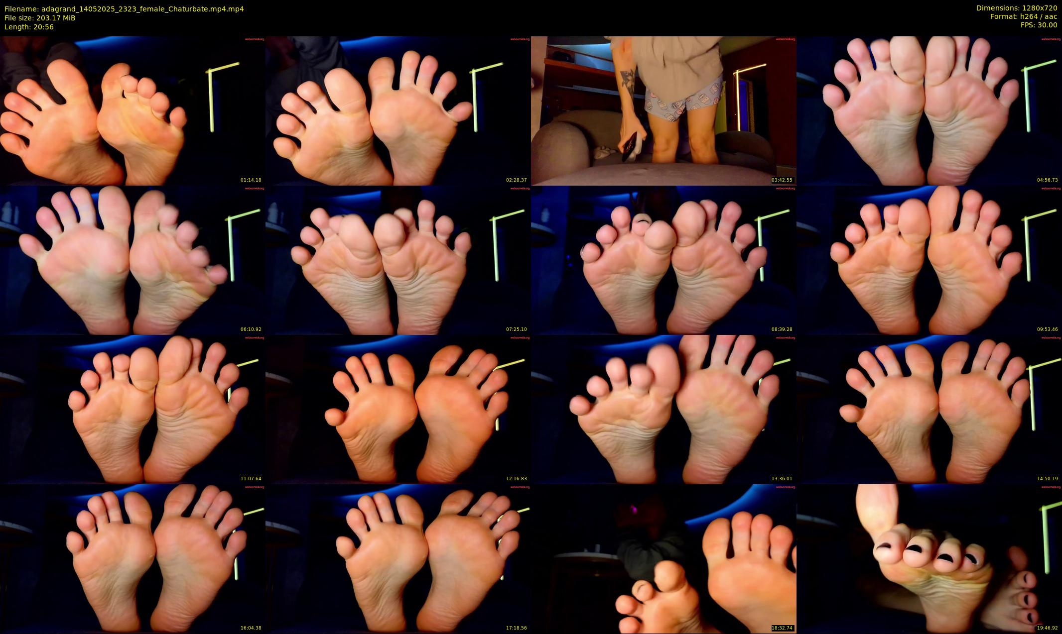 adagrand — 21 minute Chaturbate female cam show recording, 720p, May 14, 2025
