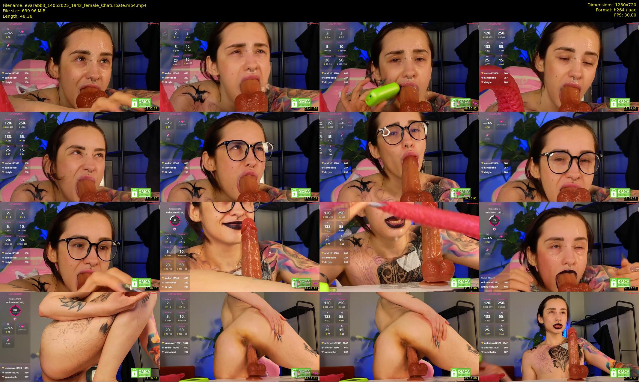 evarabbit — 49 minute Chaturbate female cam show recording, 720p, May 14, 2025